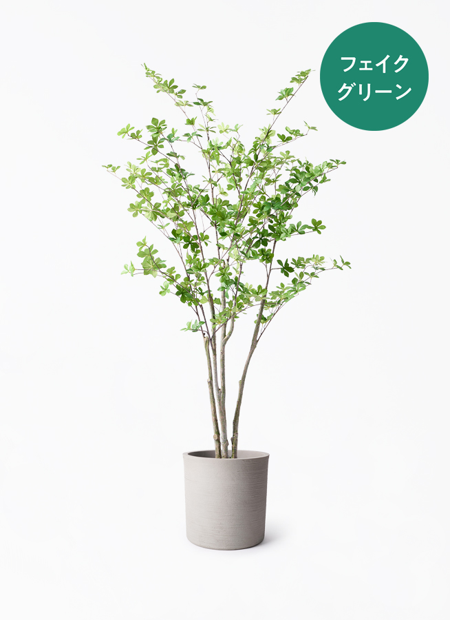 観葉植物【フェイクグリーン】ドウダンツツジ 155cm ホルスト