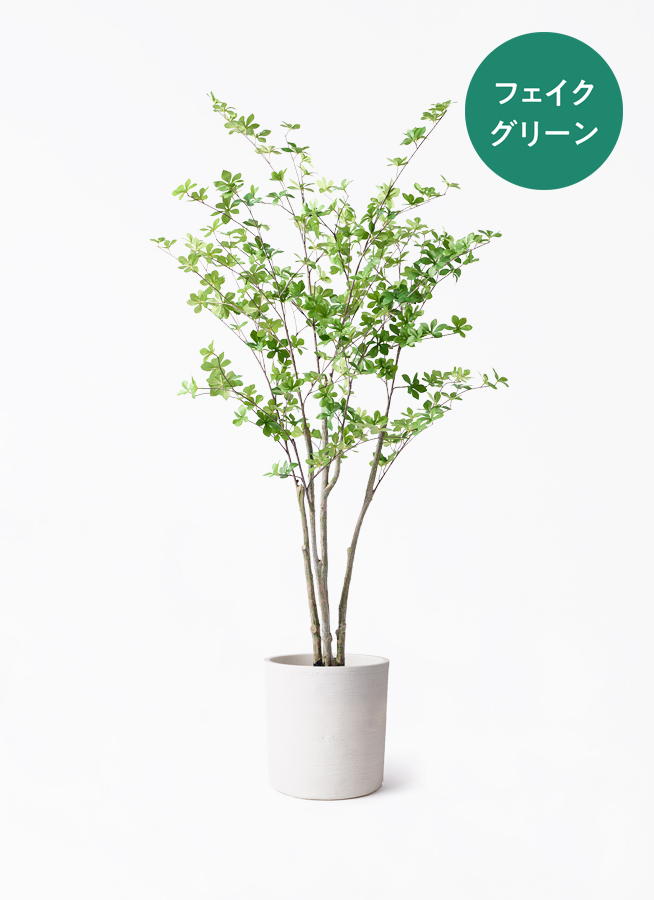 観葉植物【フェイクグリーン】ドウダンツツジ 155cm ベースポット入り