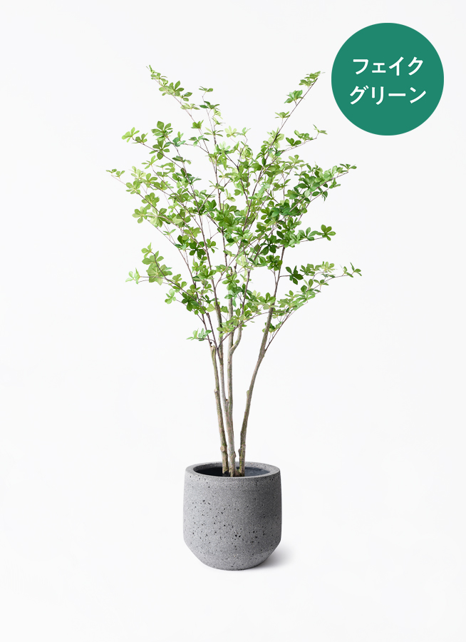 観葉植物【フェイクグリーン】ドウダンツツジ 155cm ベースポット入り