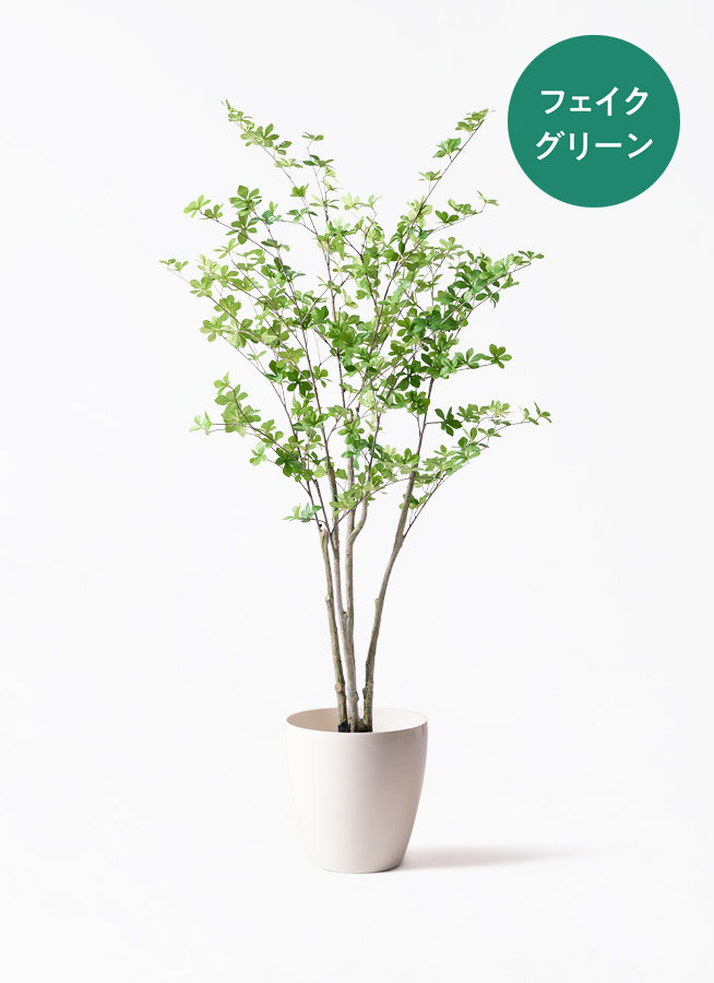 光触媒　人工観葉植物　フェイクグリーン　ドウダンツツジ130FST 観葉植物【フェイクグリーン】ドウダンツツジ 155cm パボ ミドル オフ