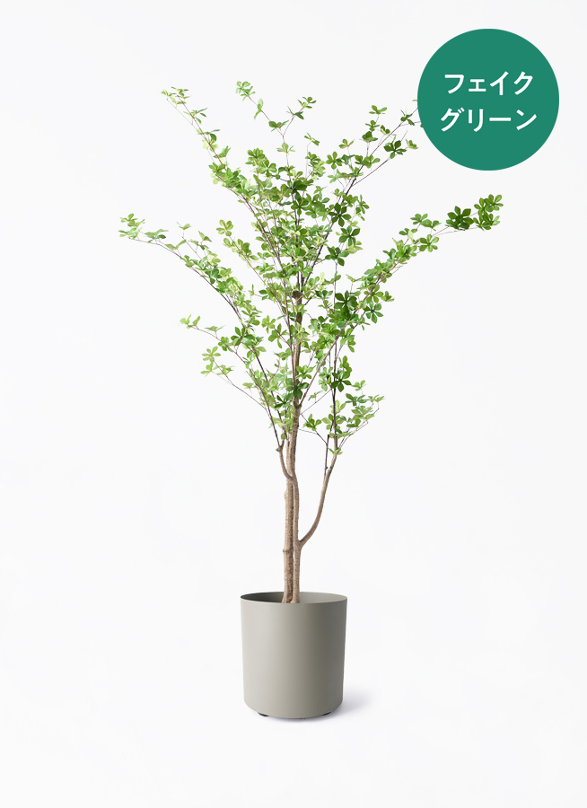 観葉植物【フェイクグリーン】ドウダンツツジ 190cm ウッドプランター