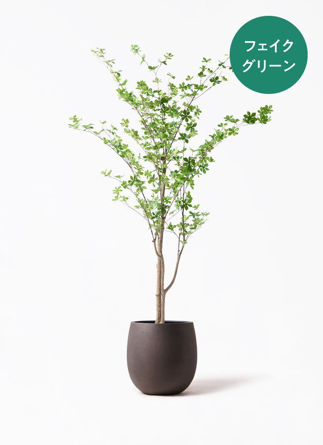 観葉植物【フェイクグリーン】ドウダンツツジ 190cm ウッドプランター