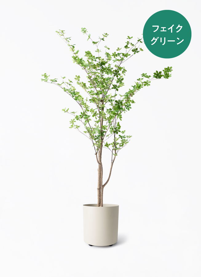 観葉植物【フェイクグリーン】ドウダンツツジ 190cm ウッドプランター