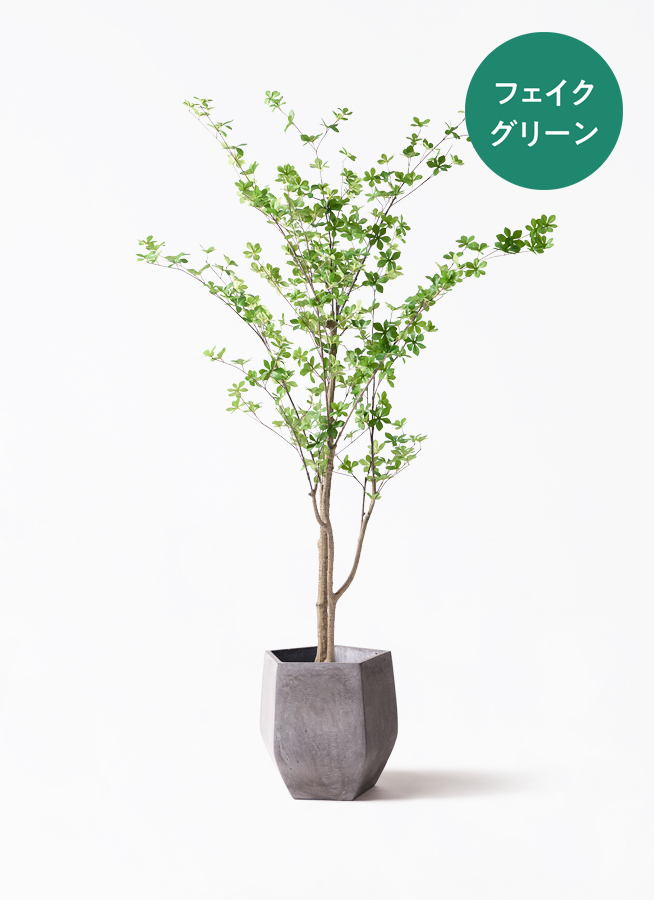 光触媒　人工観葉植物　フェイクグリーン　ドウダンツツジ160FST Amazon｜ドウダンツツジ 160㎝ 人工観葉植物 フェイクグリーン 観葉