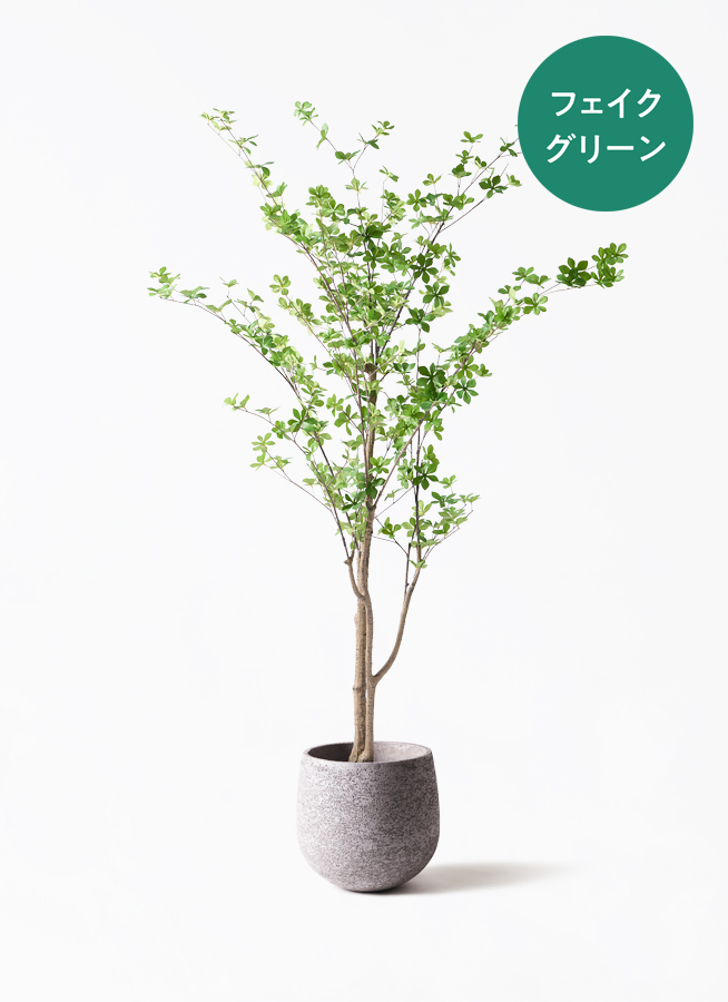 観葉植物【フェイクグリーン】ドウダンツツジ 190cm テラニアス