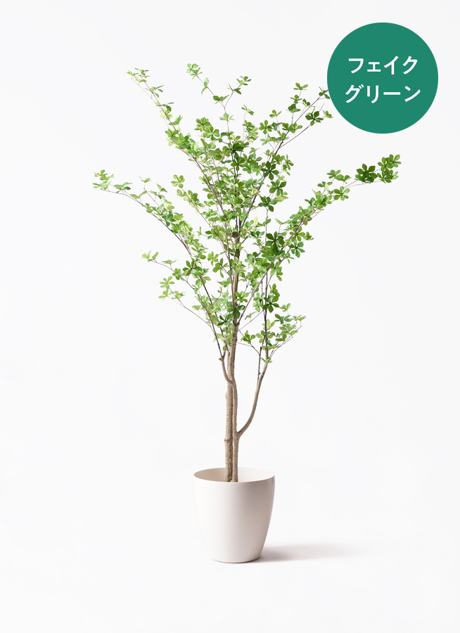 光触媒　人工観葉植物　ウ　フェイクグリーン　ドウダンツツジ200FST 観葉植物【フェイクグリーン】ドウダンツツジ 190cm ベースポット入り