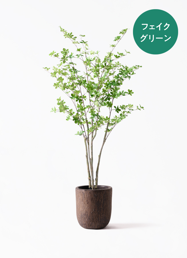 観葉植物【フェイクグリーン】ドウダンツツジ 155cm パボ ミドル オフ