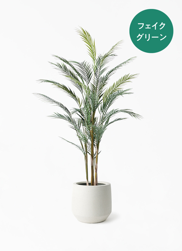 観葉植物【フェイクグリーン】アレカヤシ 150cm パボ ミドル オフ