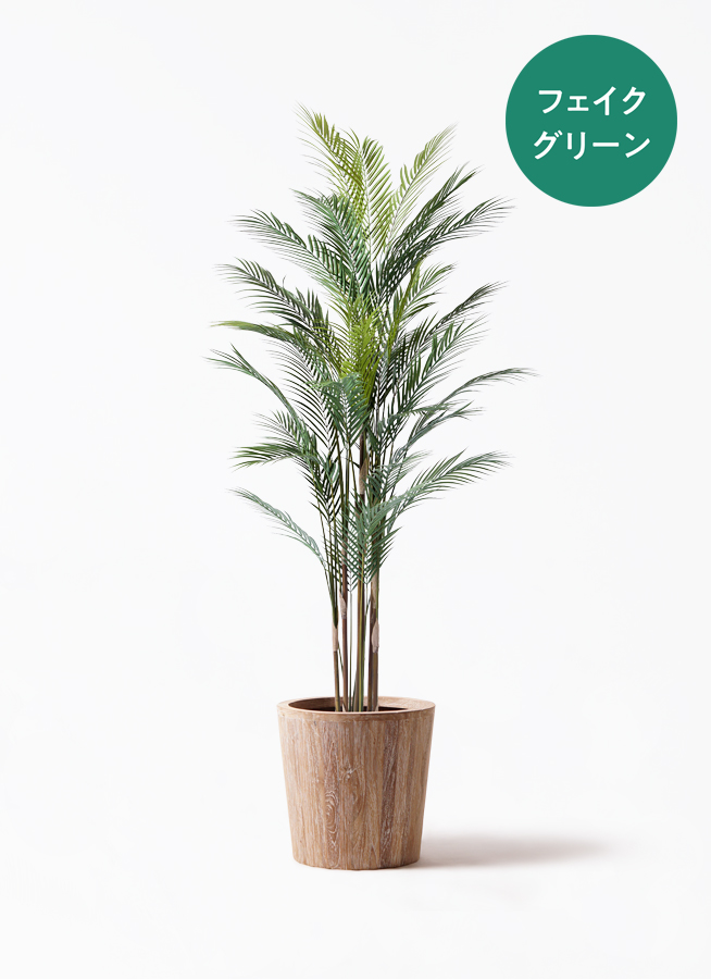 観葉植物【フェイクグリーン】アレカヤシ 185cm フェルム シリンダー