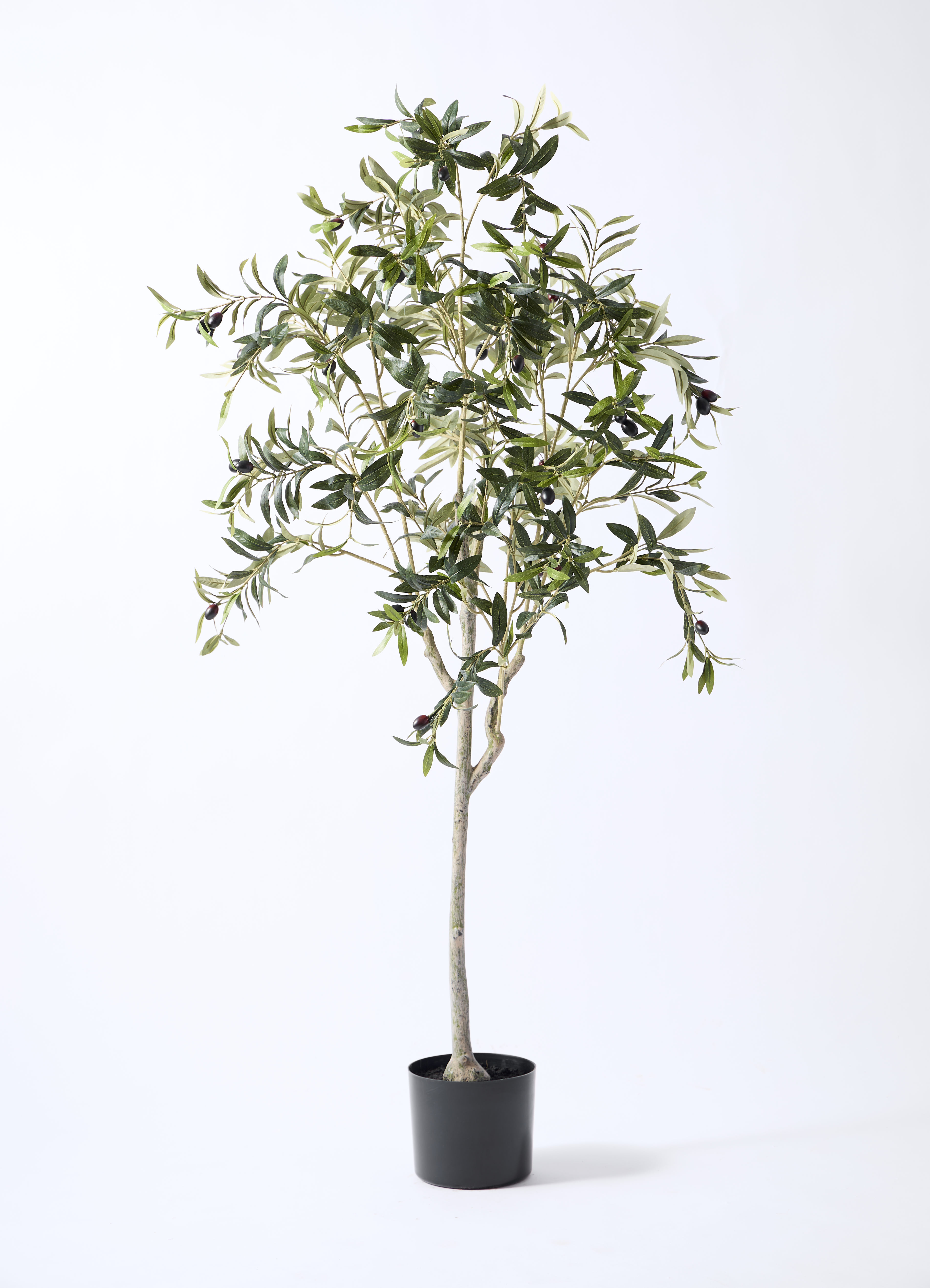 観葉植物【フェイクグリーン】オリーブ 実付き 156cm パボ ミドル
