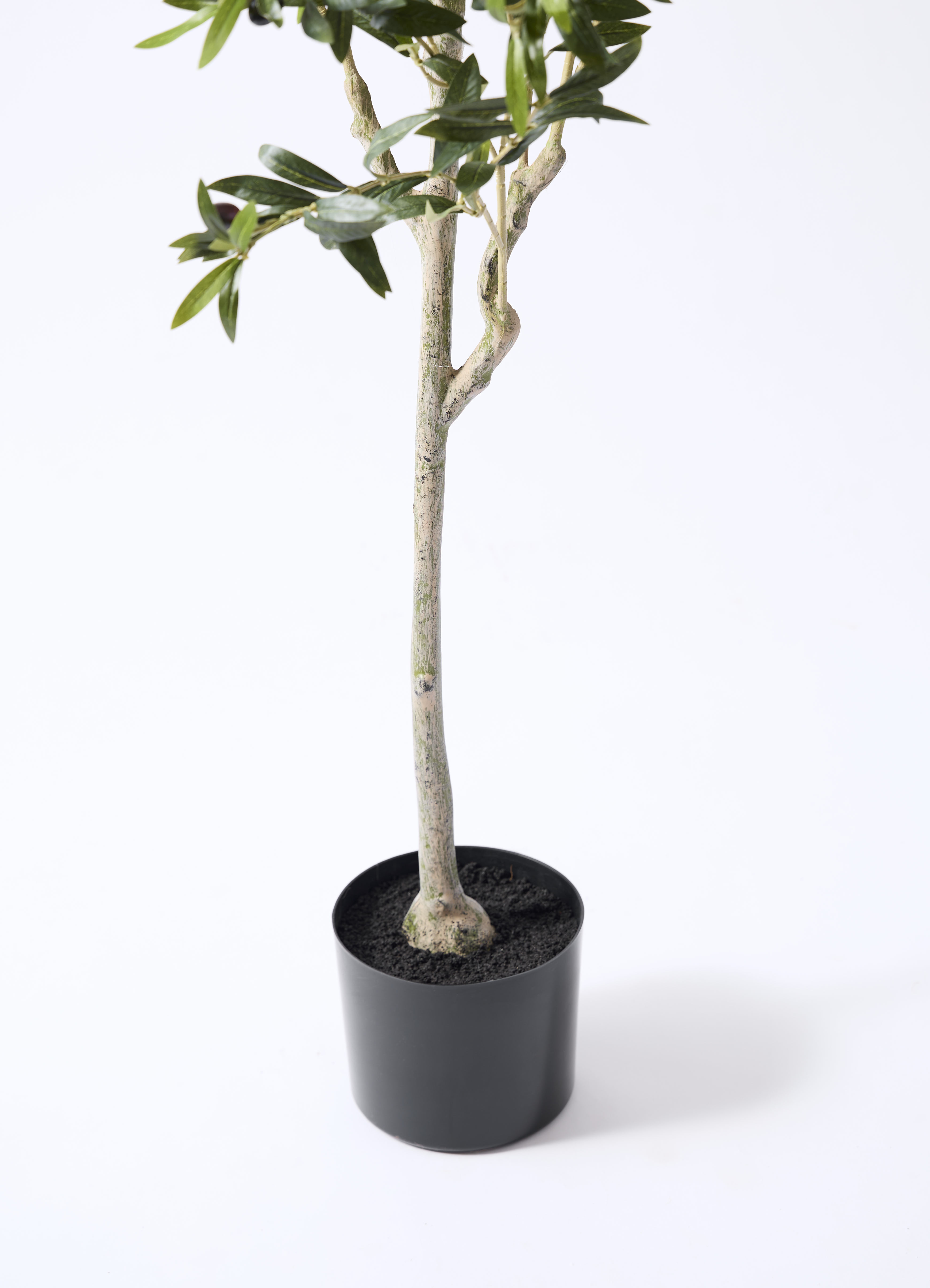 観葉植物【フェイクグリーン】オリーブ 実付き 156cm パボ ミドル