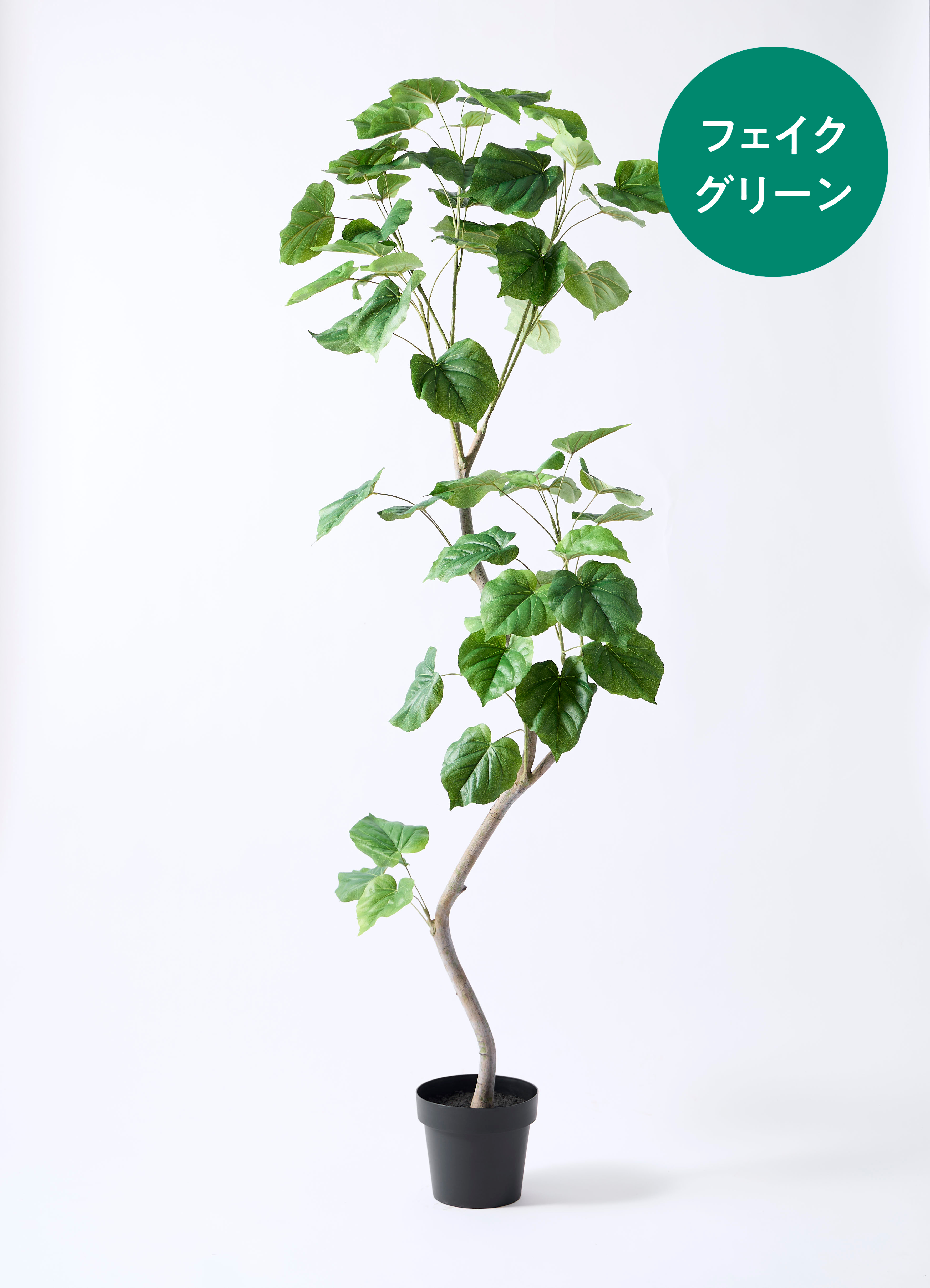 観葉植物【フェイクグリーン】ウンベラータ 曲り 190cm ベースポット