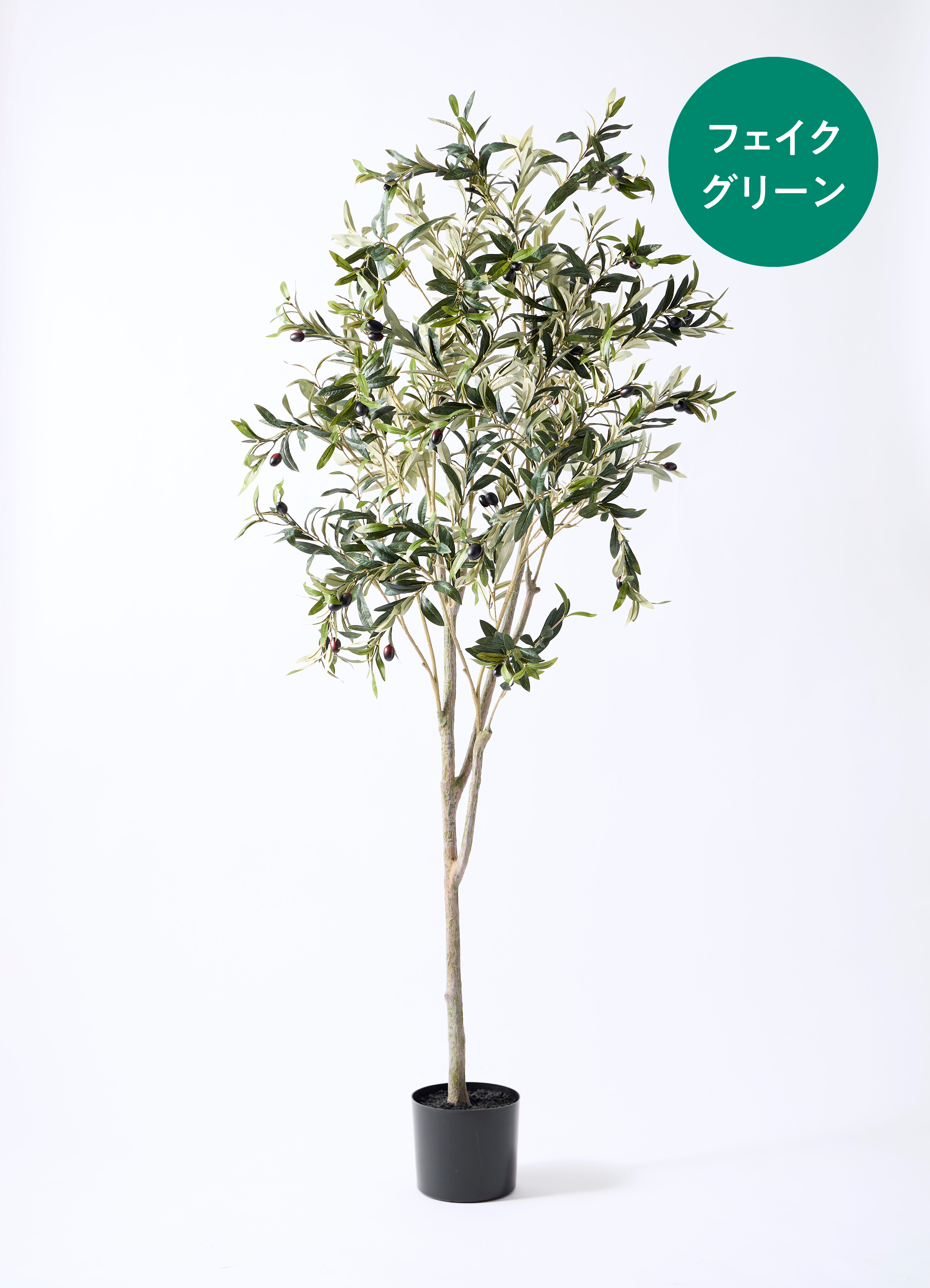 観葉植物【フェイクグリーン】オリーブ 実付き 180cm ベースポット入り