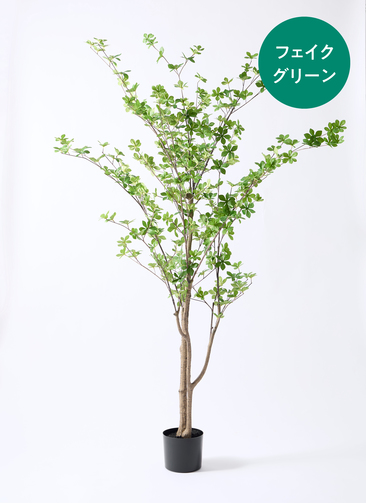 観葉植物【フェイクグリーン】ドウダンツツジ 190cm ベースポット入り
