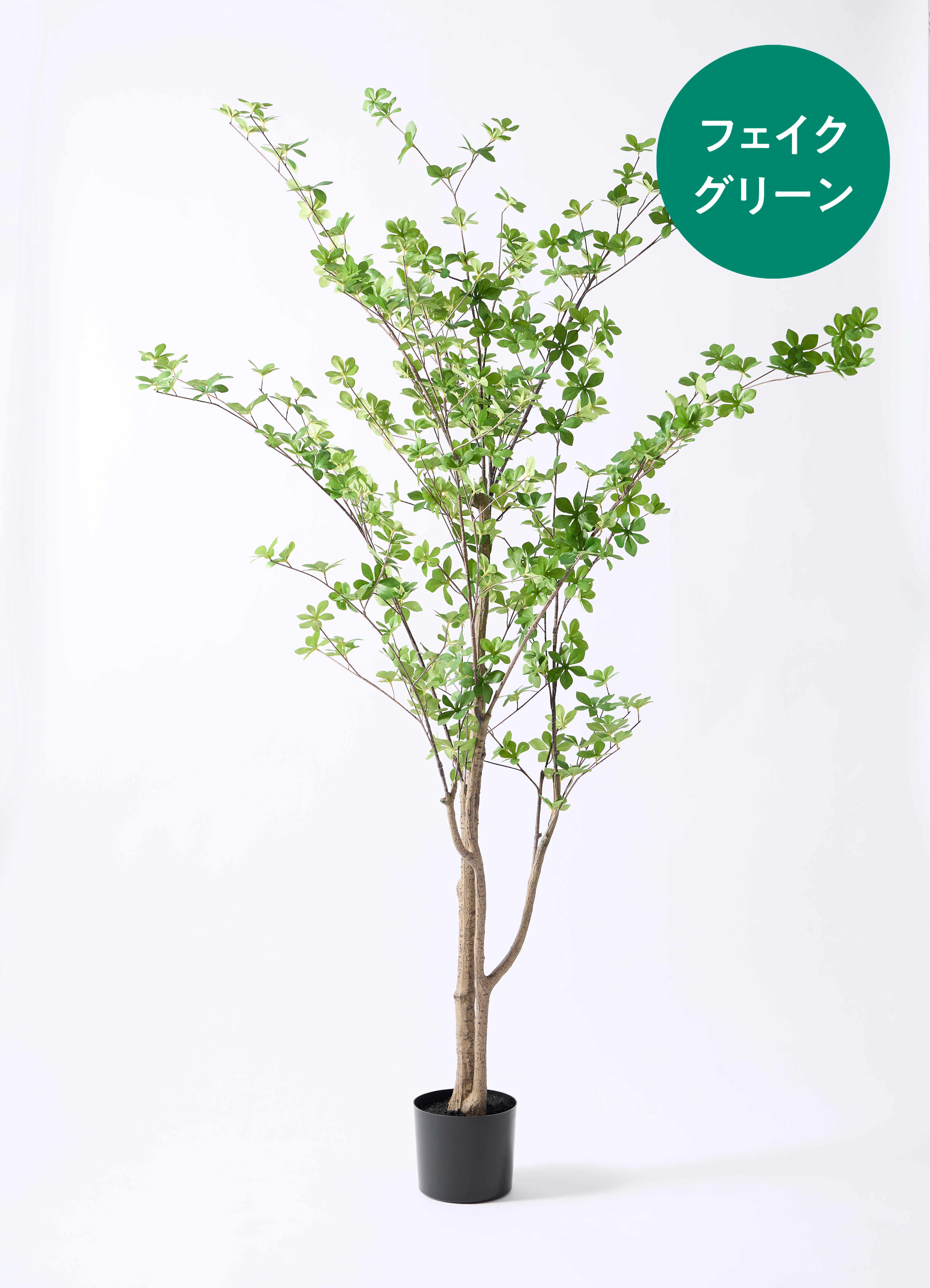 観葉植物【フェイクグリーン】ドウダンツツジ 190cm ベースポット入り