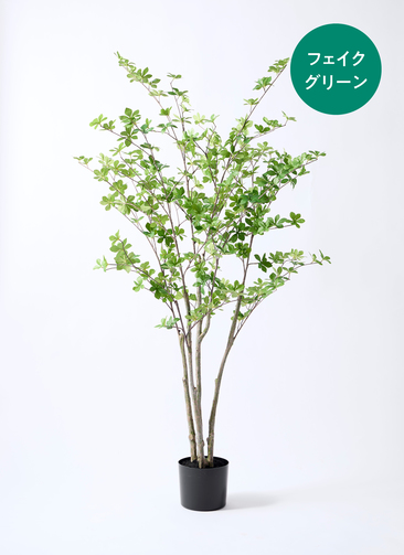 観葉植物【フェイクグリーン】ドウダンツツジ 155cm ベースポット入り