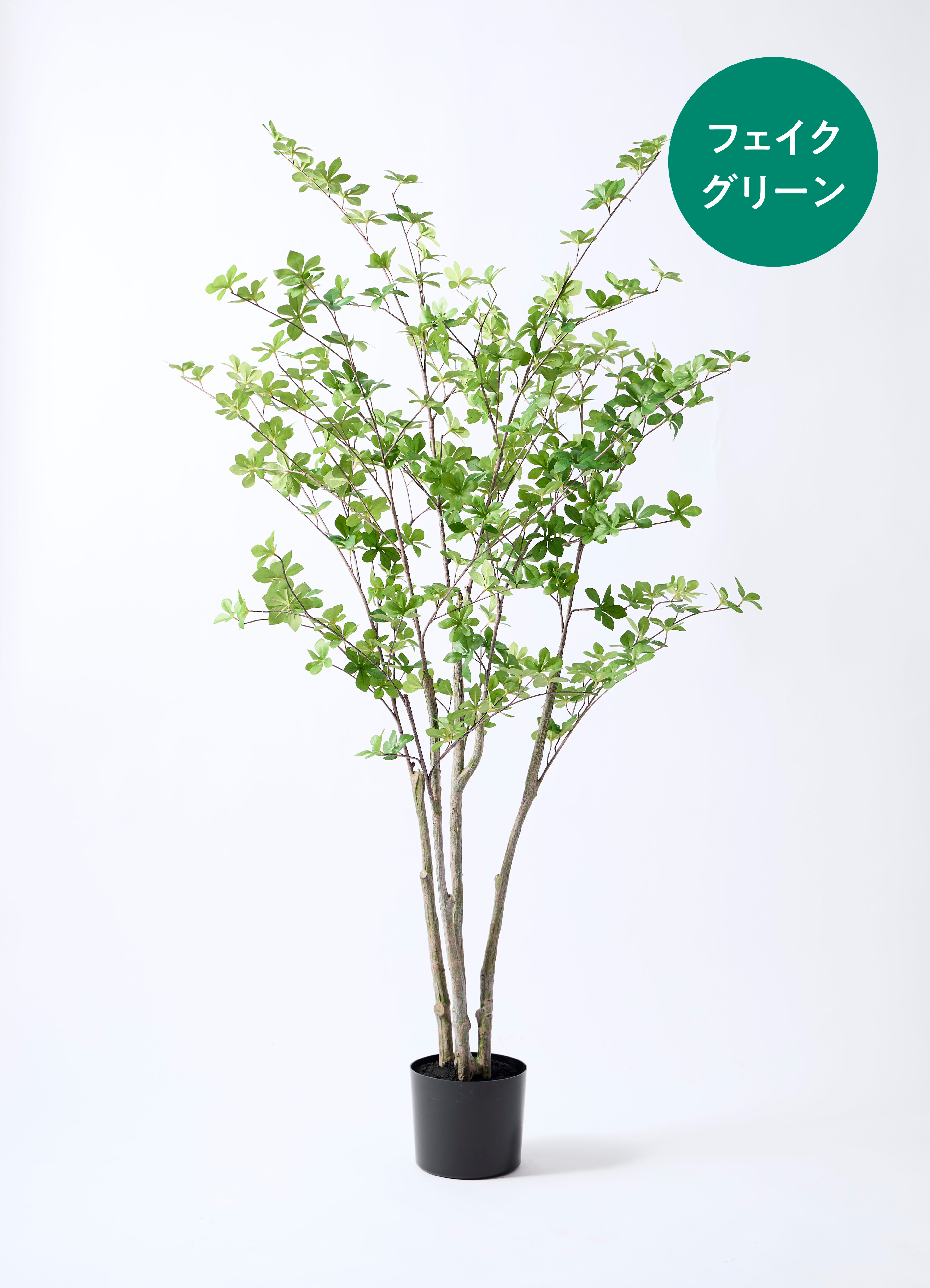 観葉植物【フェイクグリーン】ドウダンツツジ 155cm ベースポット入り