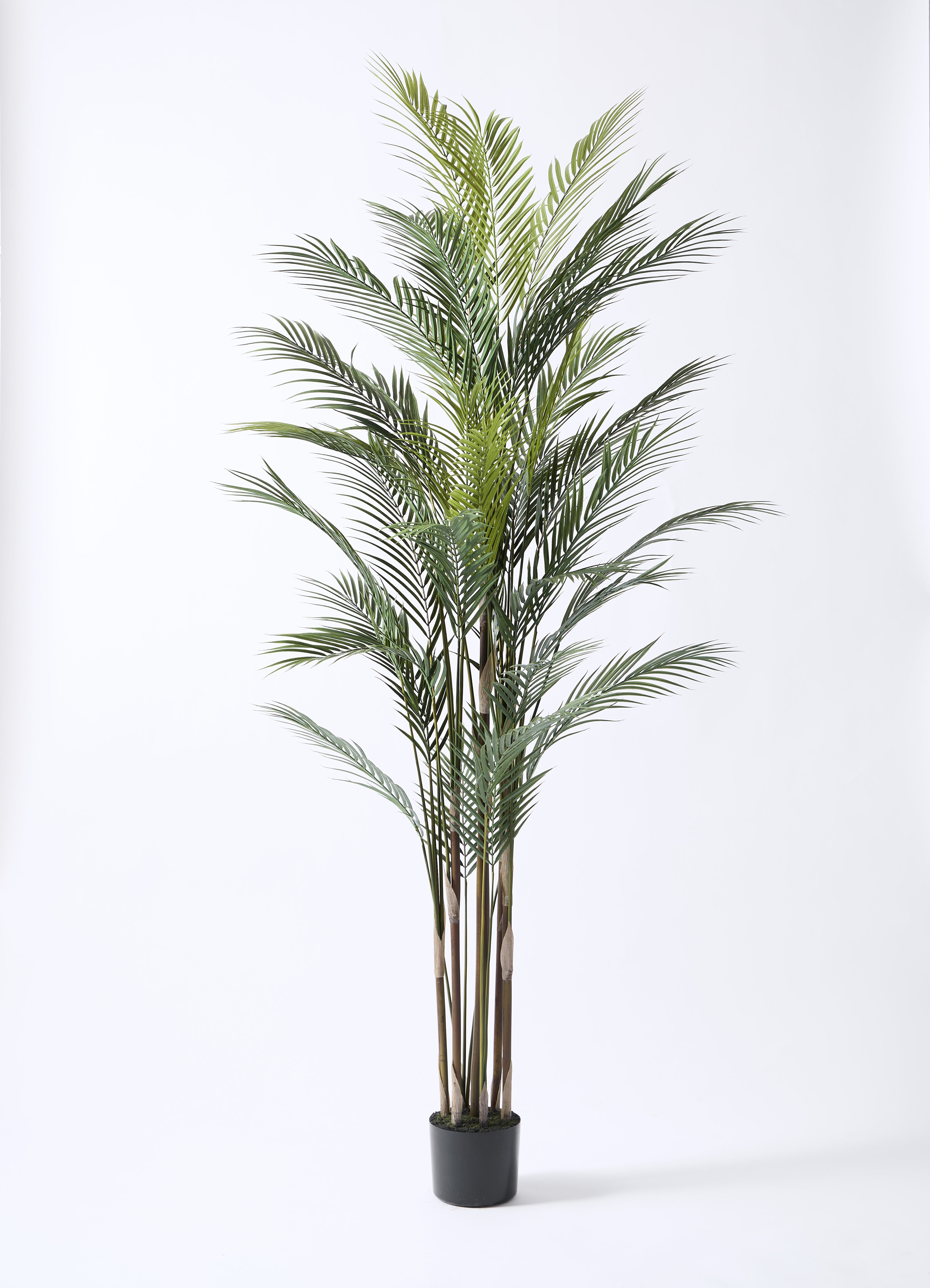 観葉植物【フェイクグリーン】アレカヤシ 185cm ファイバークレイ Gray