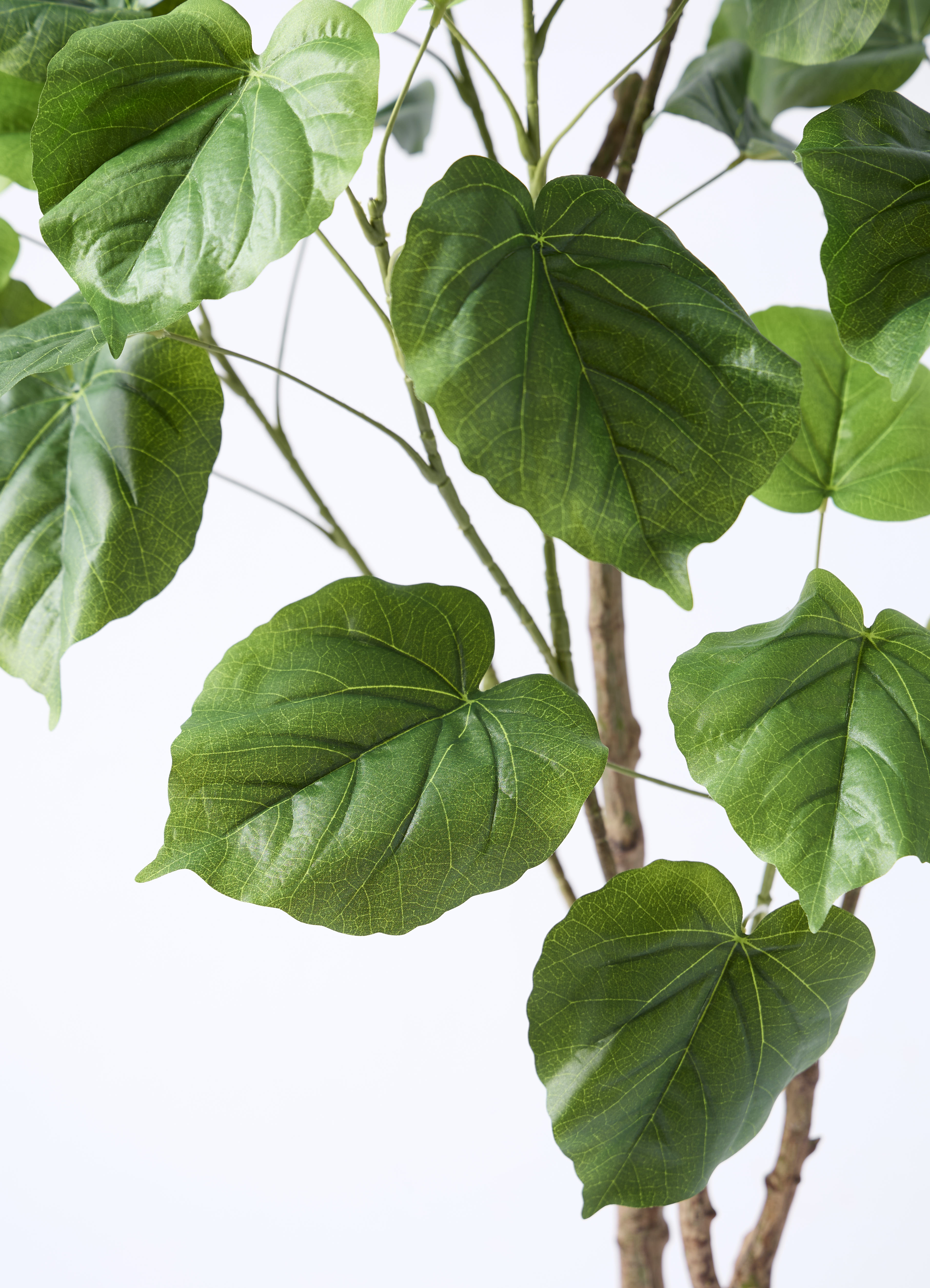 観葉植物【フェイクグリーン】ウンベラータ 120cm アイルエッグ グレー