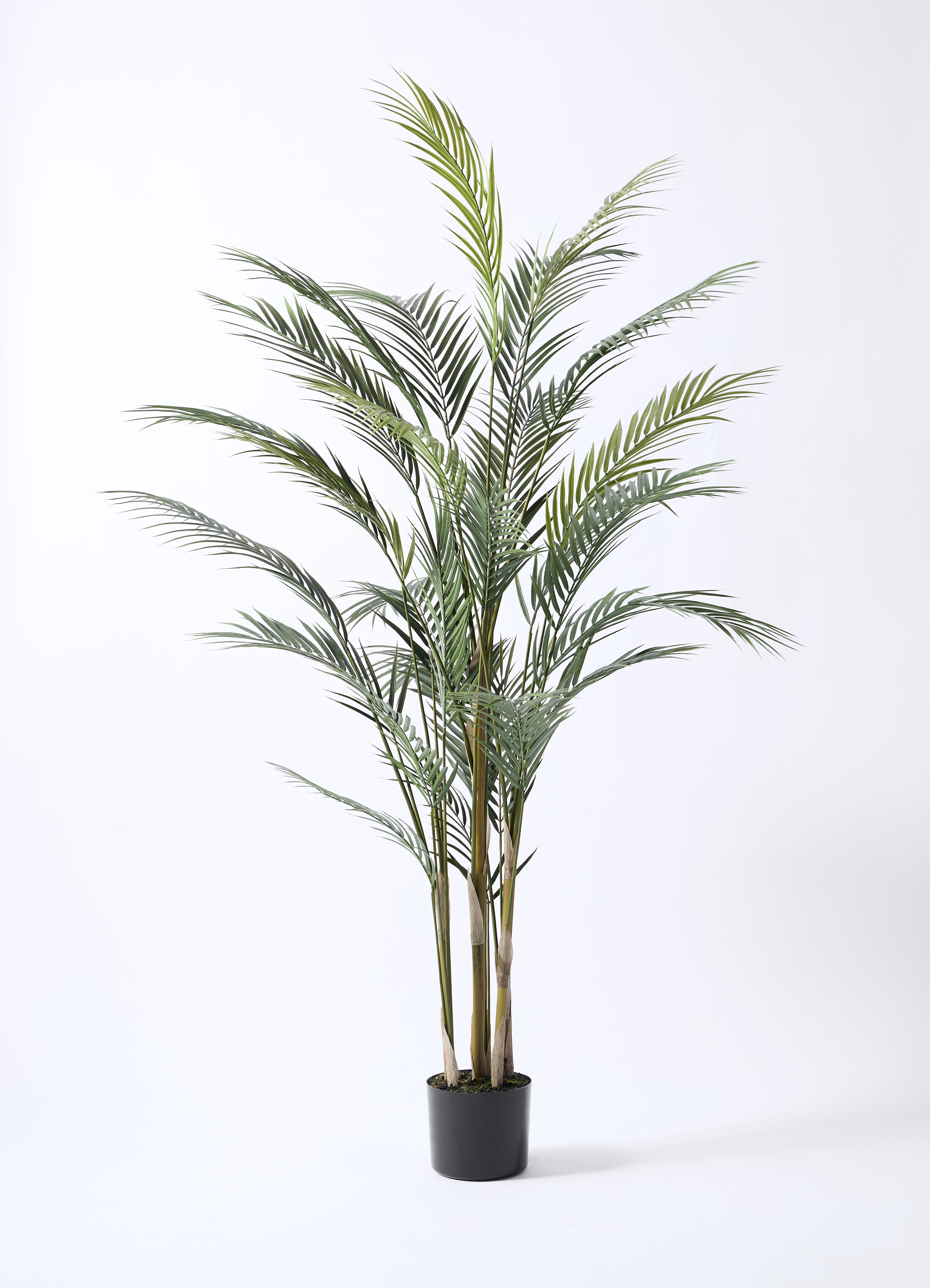 人工観葉植物#3081　フェイクヤシ150cm 人工観葉・フェイクグリーン 人工観葉植物#3081 フェイクヤシ150cm