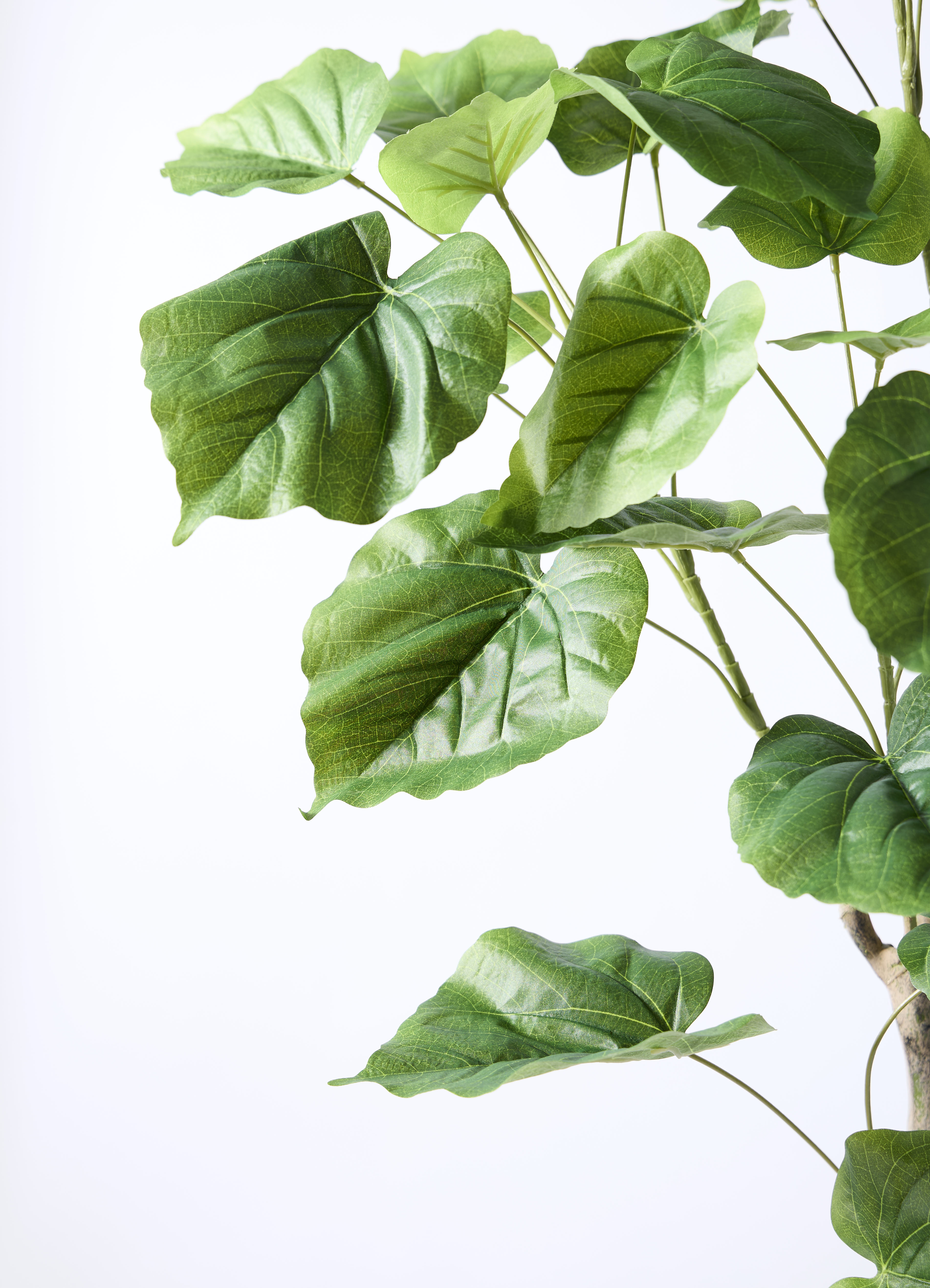 観葉植物【フェイクグリーン】ウンベラータ 曲り 150cm パボ ミドル