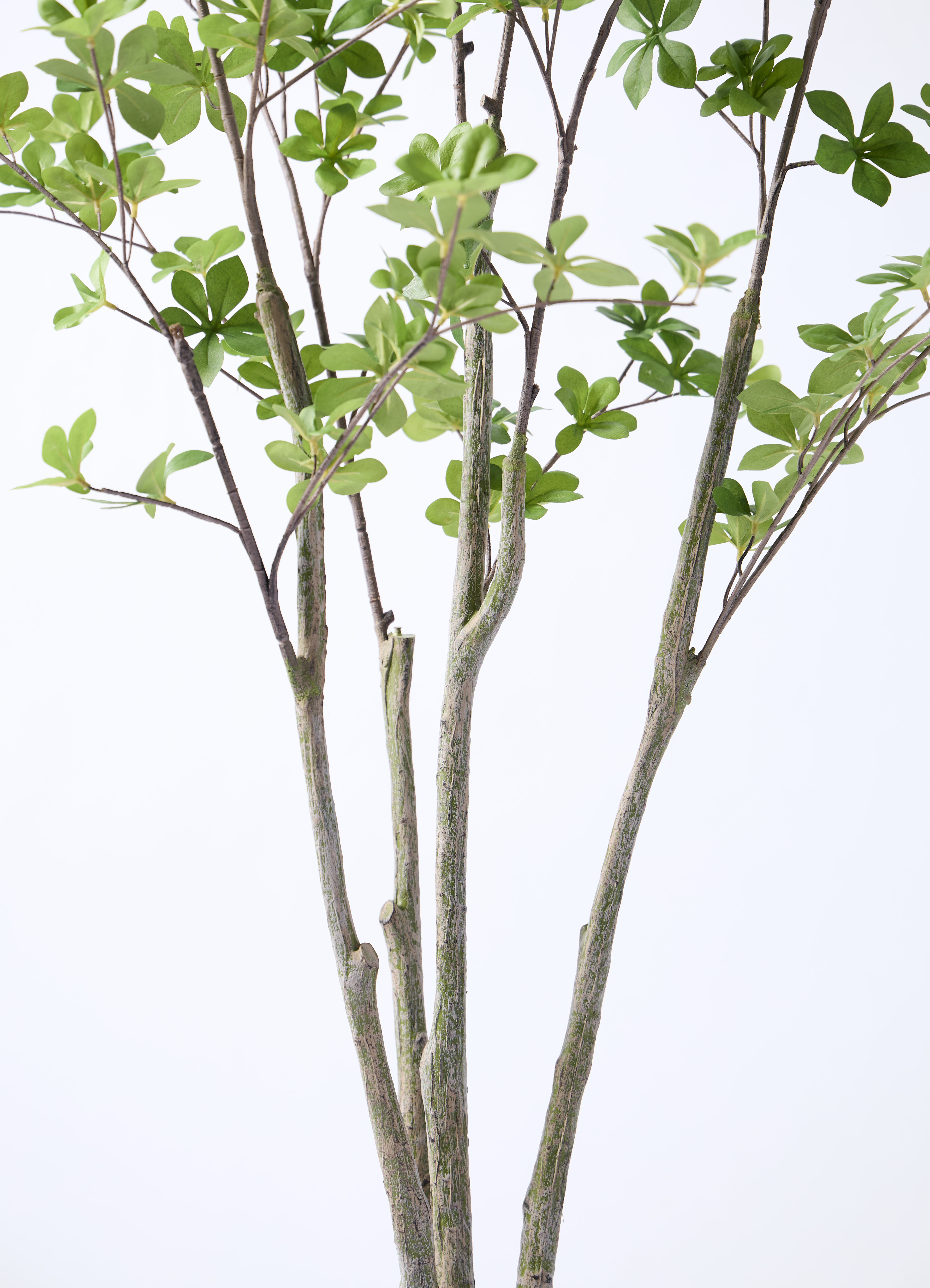 観葉植物【フェイクグリーン】ドウダンツツジ 155cm ベースポット入り