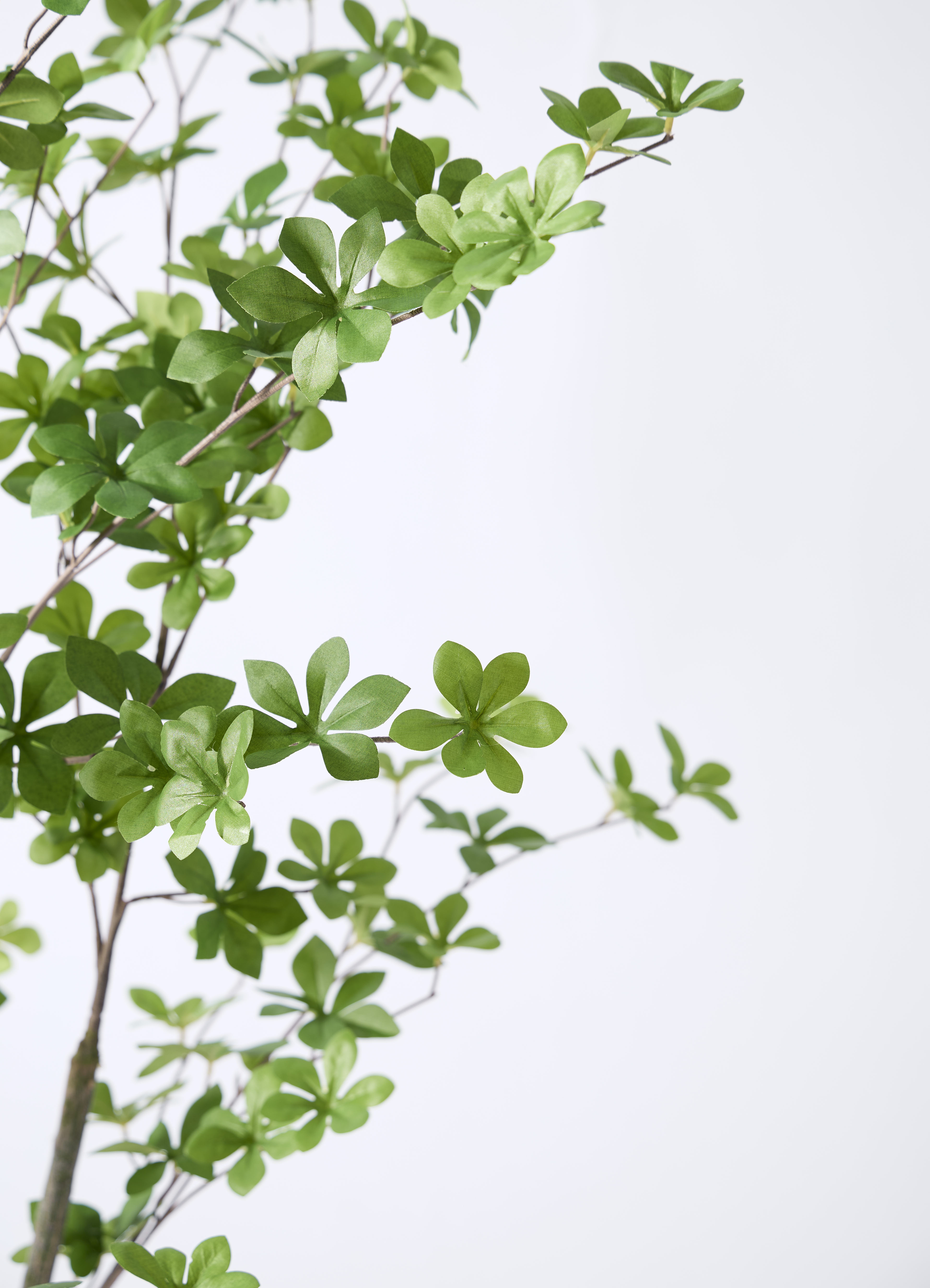 観葉植物【フェイクグリーン】ドウダンツツジ 155cm ベースポット入り