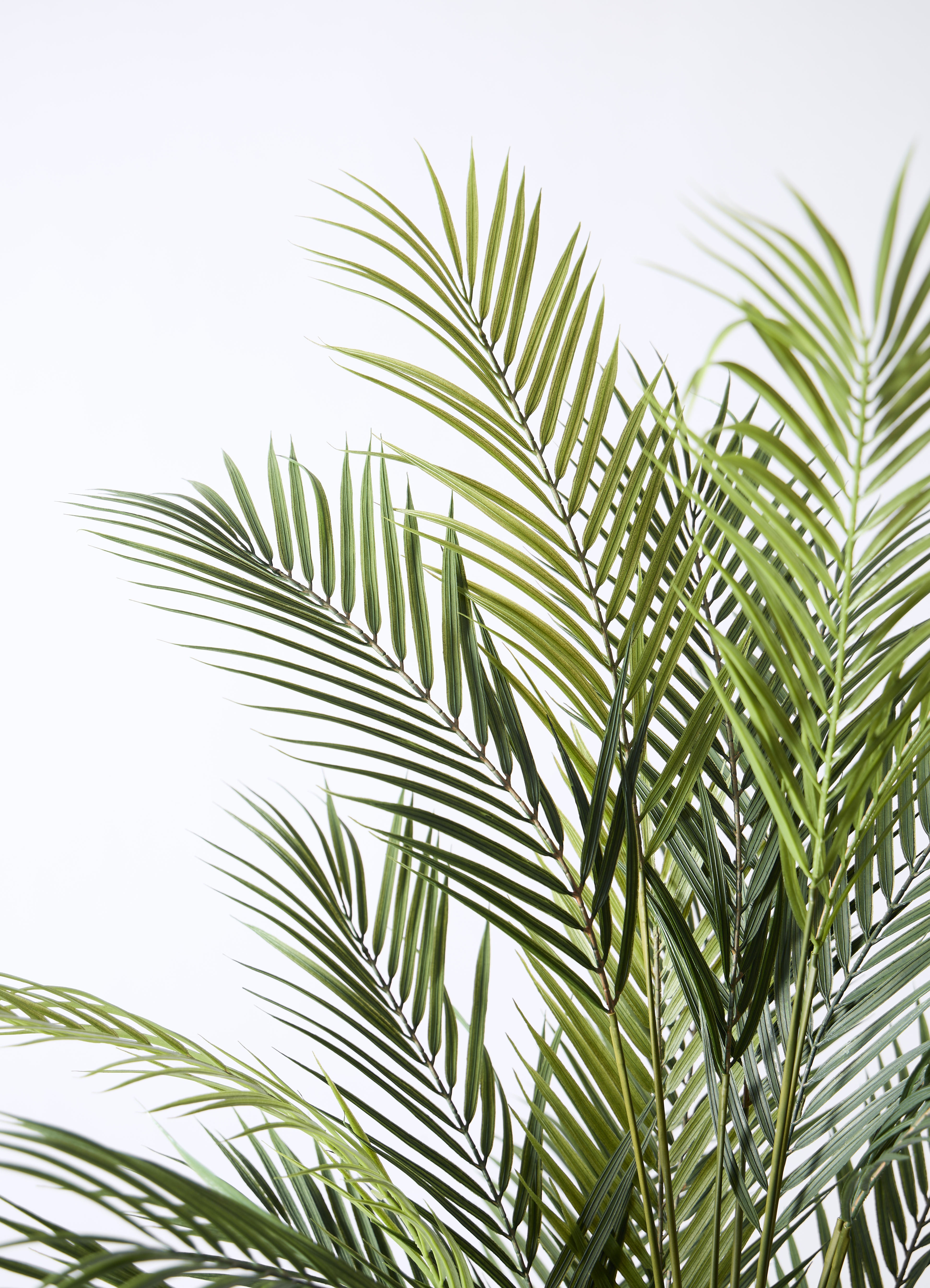 観葉植物【フェイクグリーン】アレカヤシ 185cm フェルム シリンダー