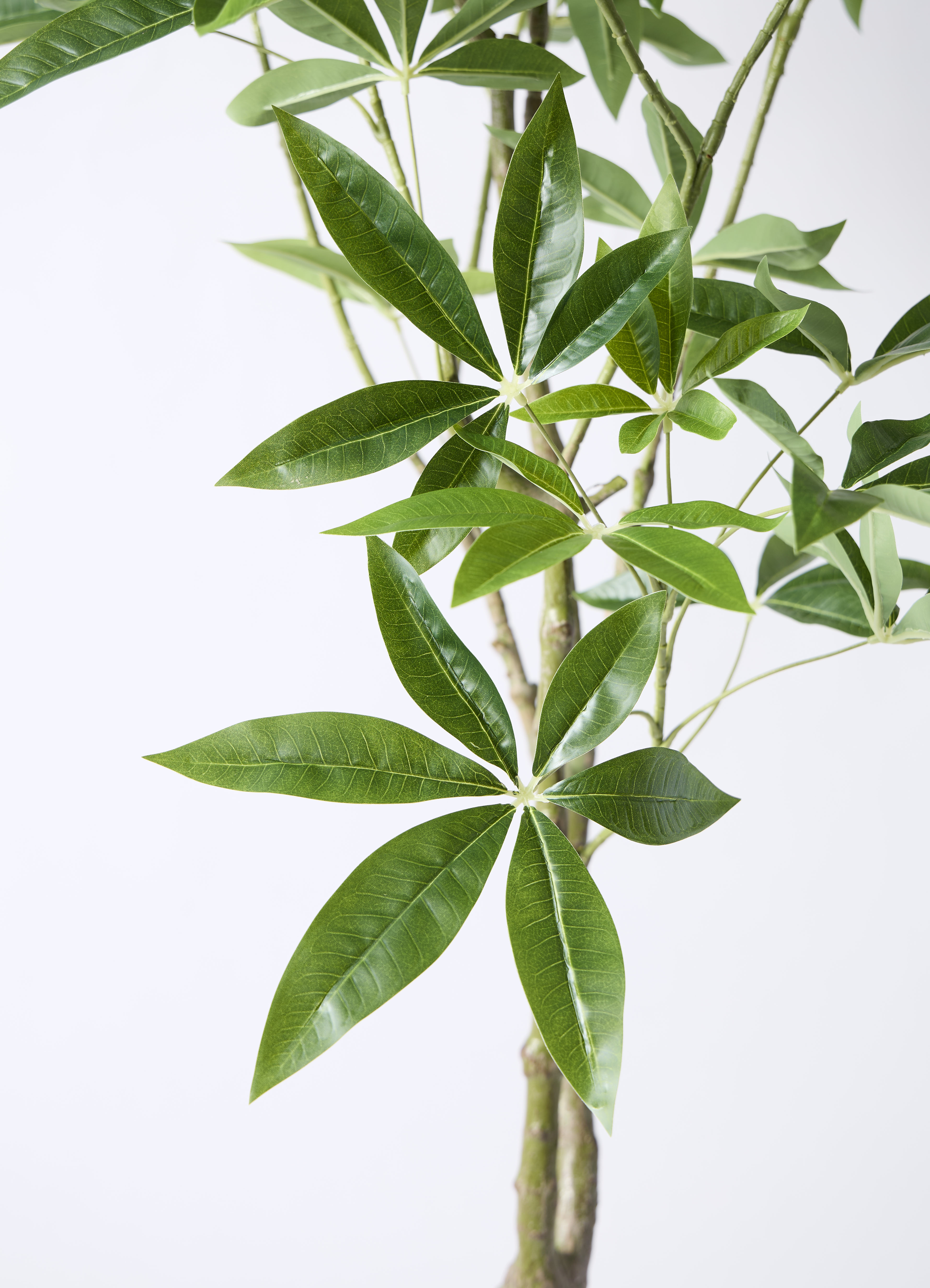 観葉植物【フェイクグリーン】パキラ 180cm フェルム シリンダー