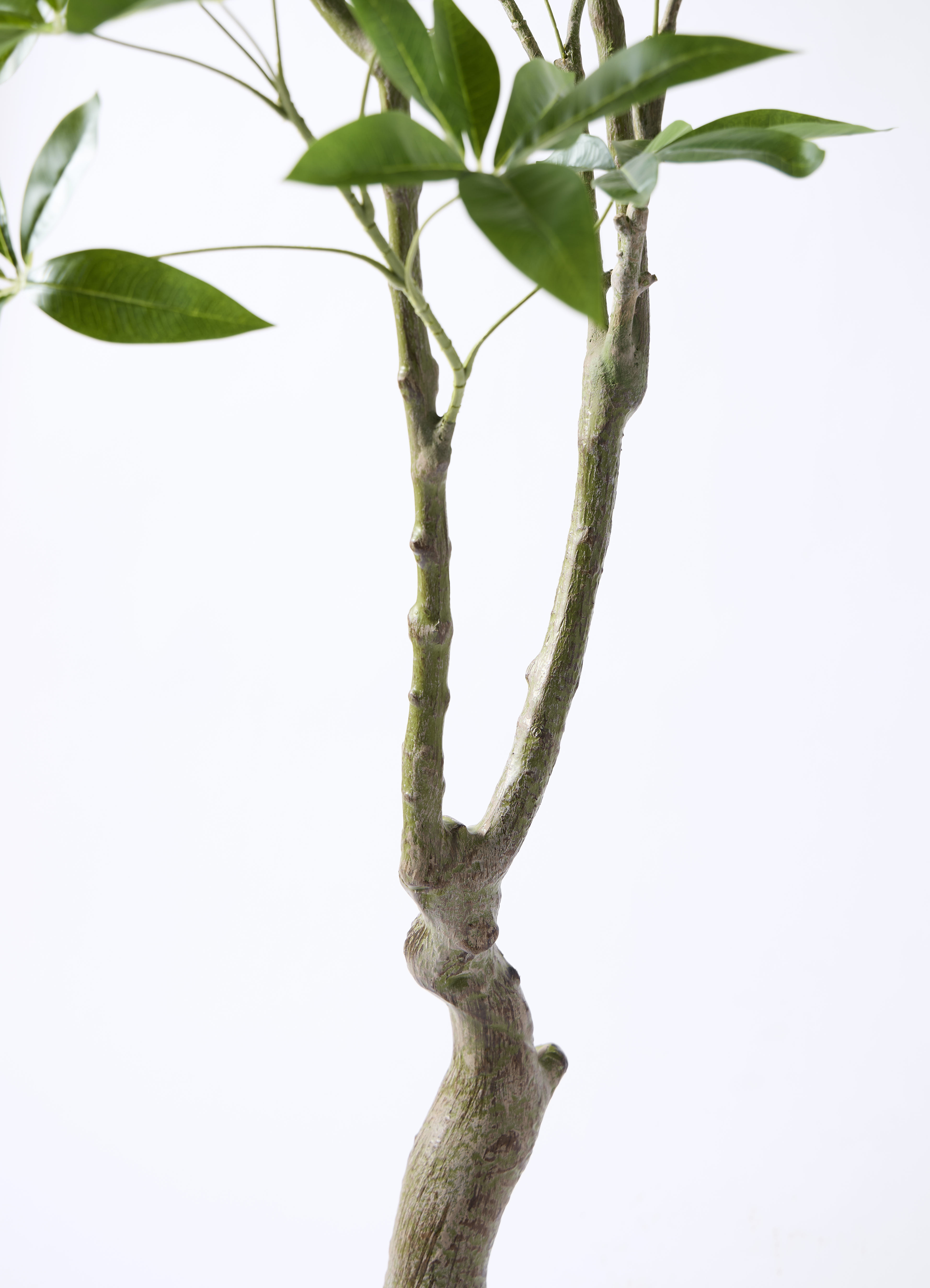 観葉植物【フェイクグリーン】パキラ 180cm ウッドプランター 付き