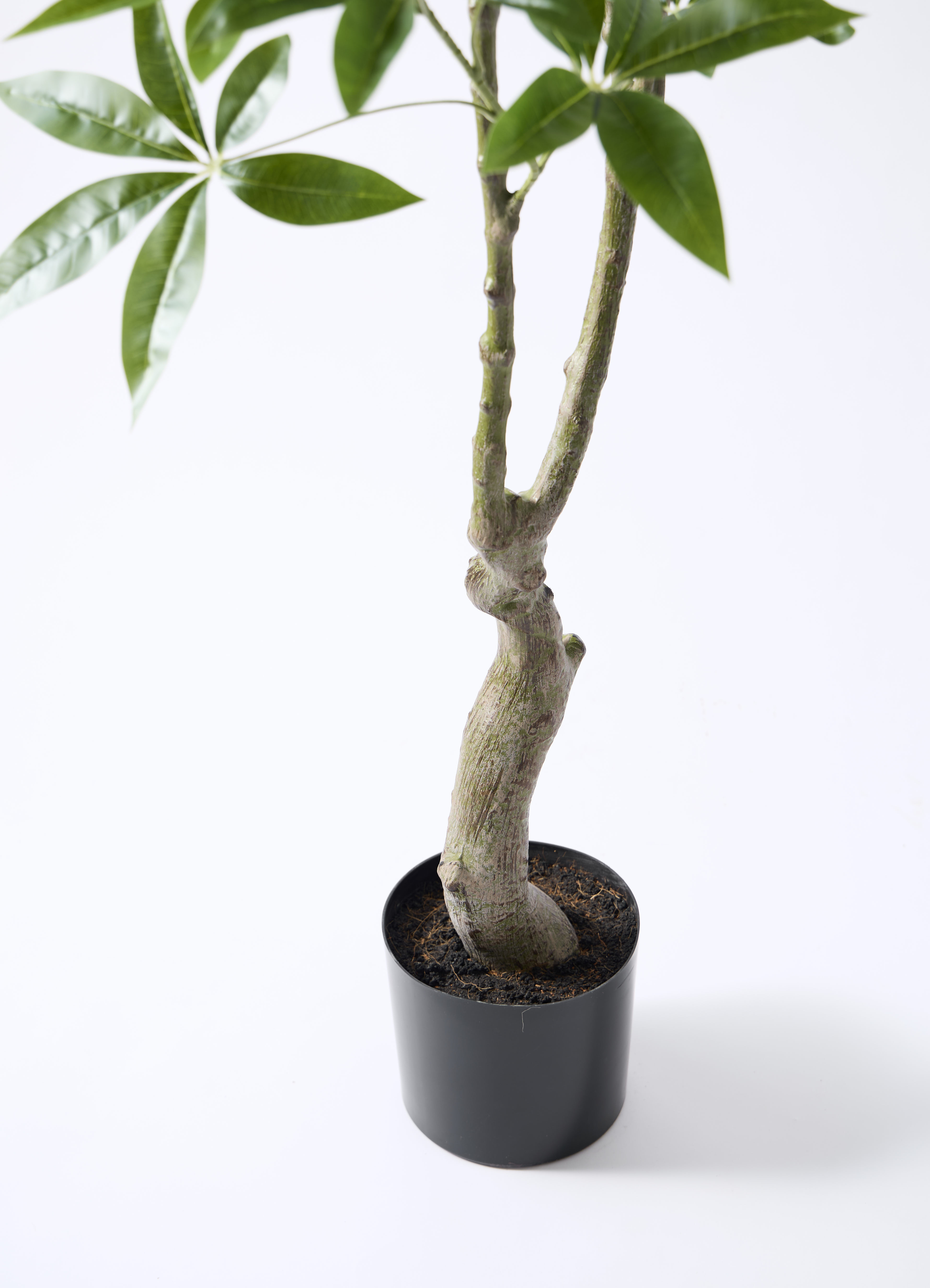 観葉植物【フェイクグリーン】パキラ 180cm ウッドプランター 付き