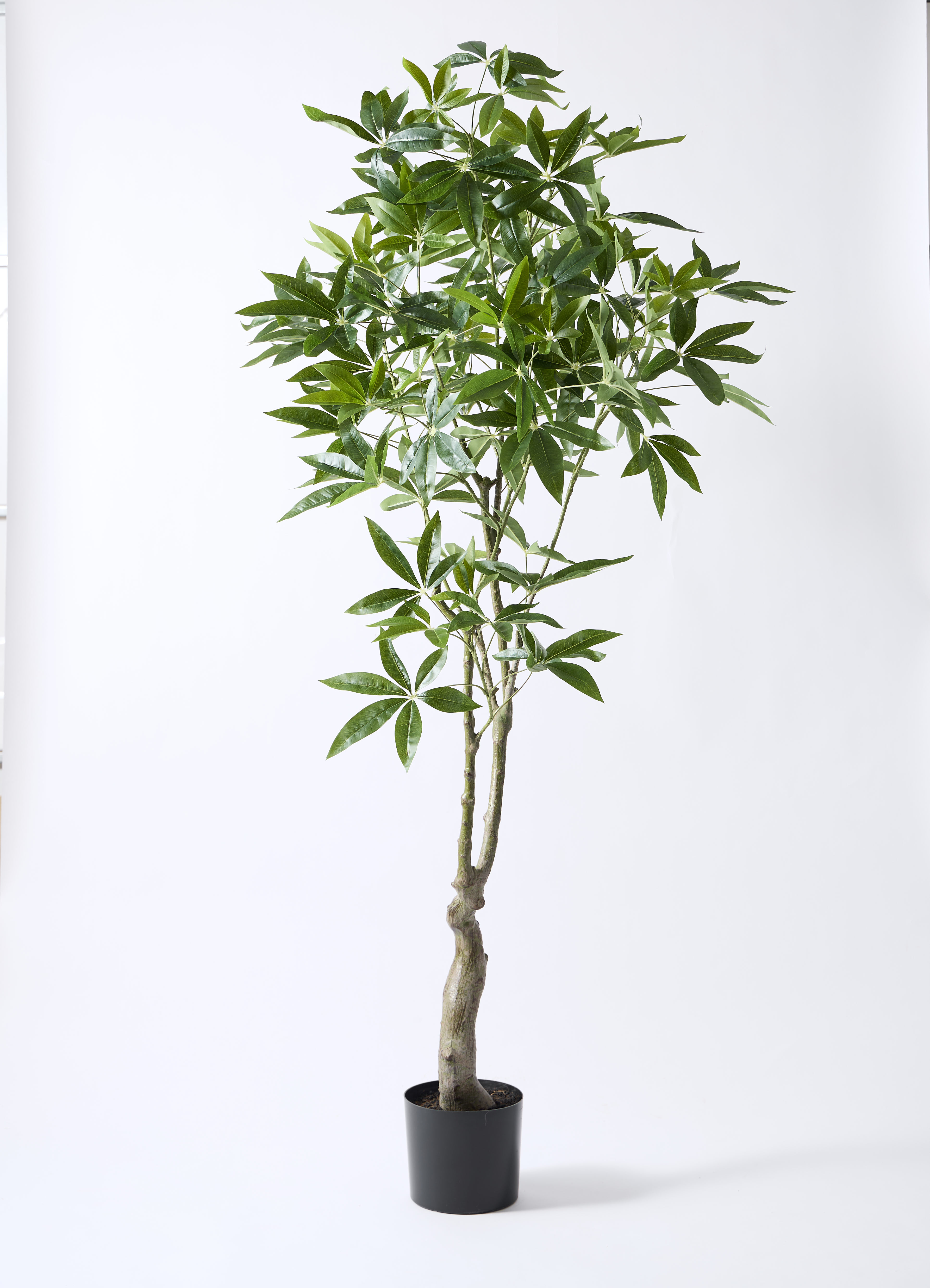 観葉植物【フェイクグリーン】パキラ 180cm フェルム シリンダー