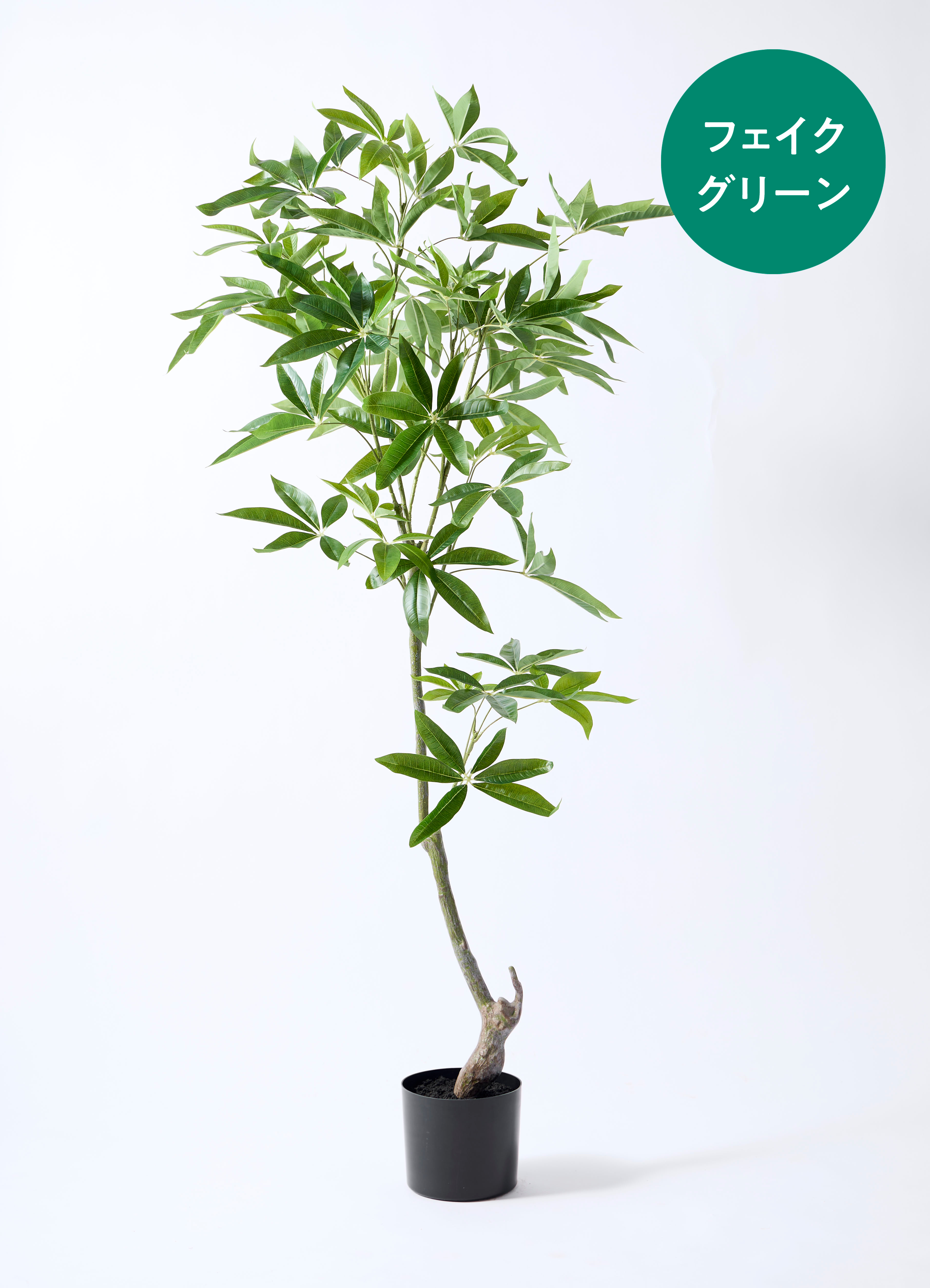 ★★美品 フェイクグリーン パキラ ★★ フェイクグリーン パキラ 170cm Get Rich Tree