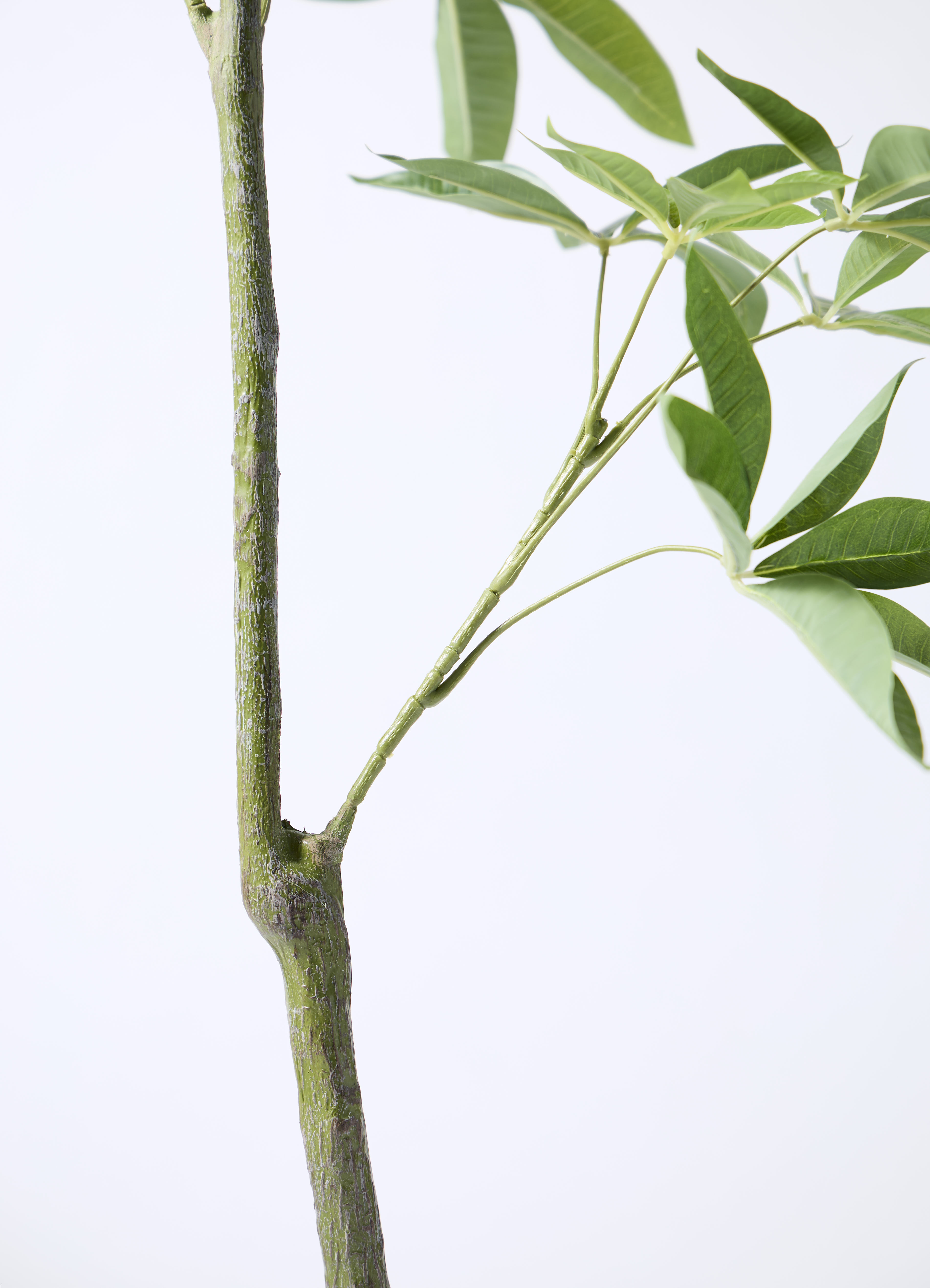観葉植物【フェイクグリーン】パキラ 150cm パボ ミドル アース