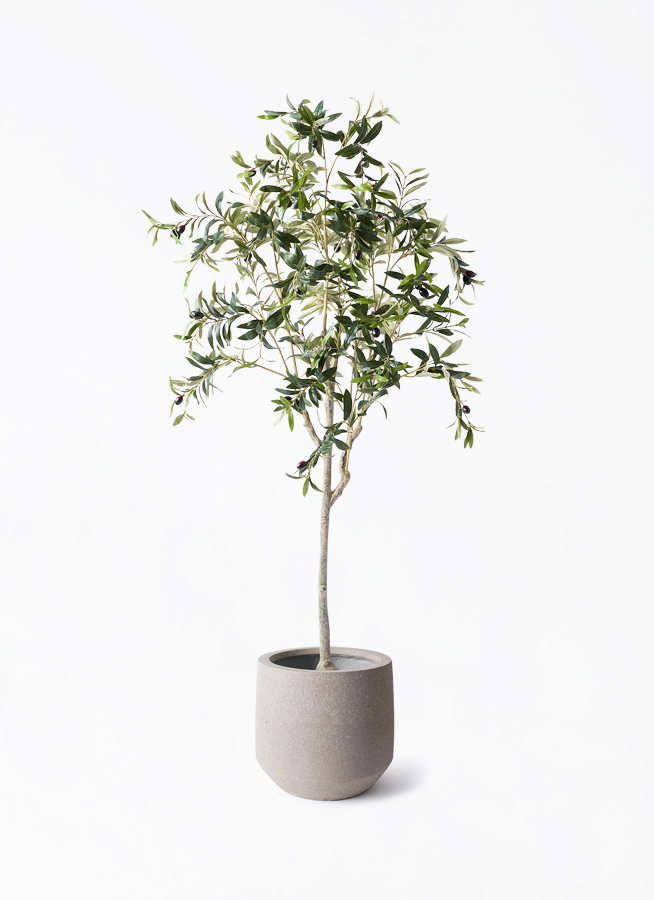 観葉植物【フェイクグリーン】オリーブ 実付き 156cm パボ ミドル