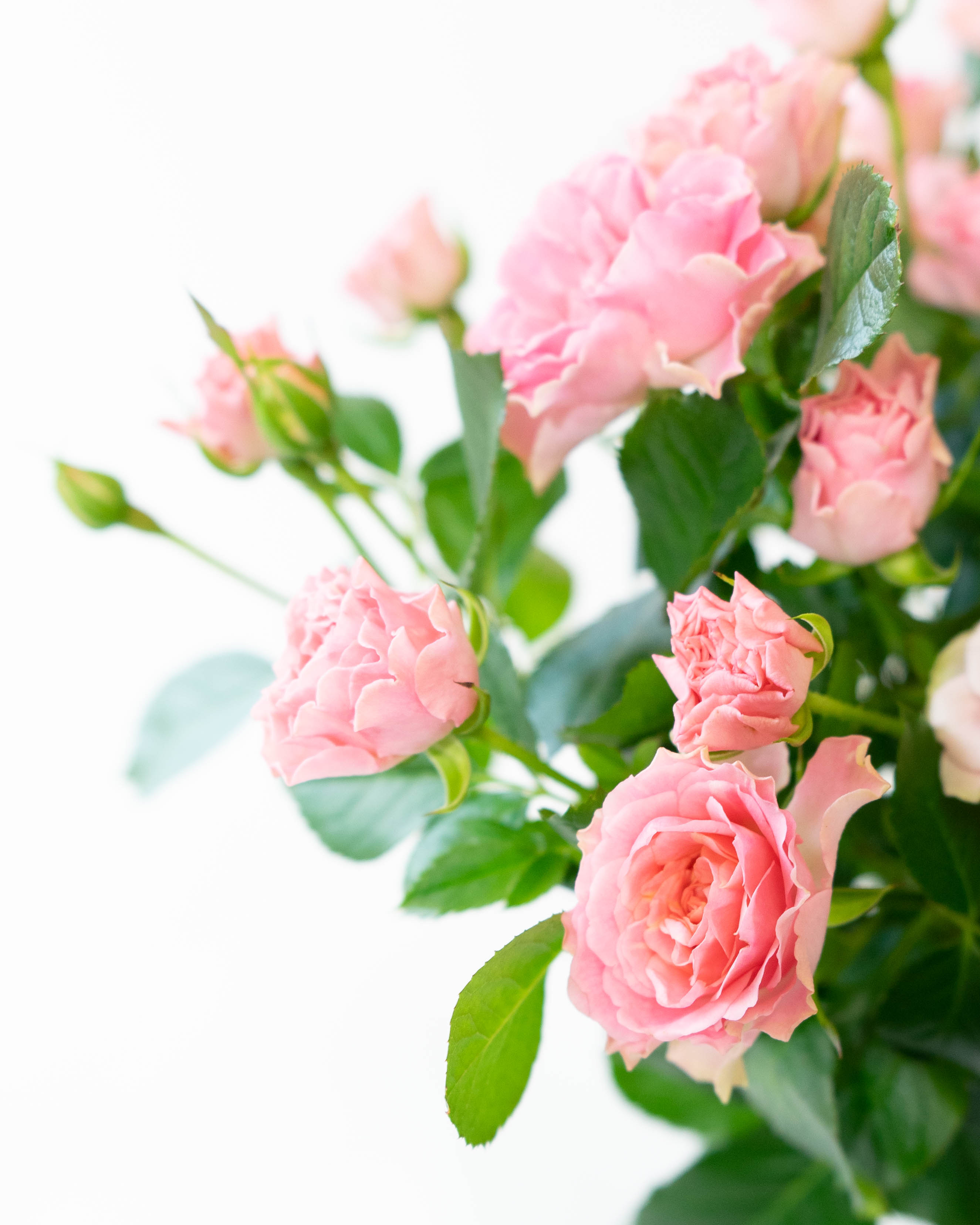★超レア！ヒロ・ヤマガタ ブロンズ彫刻『春風』薔薇の花束とパリジェンヌ フラワーフェスティバル オブ ベニス | ｜正光画廊