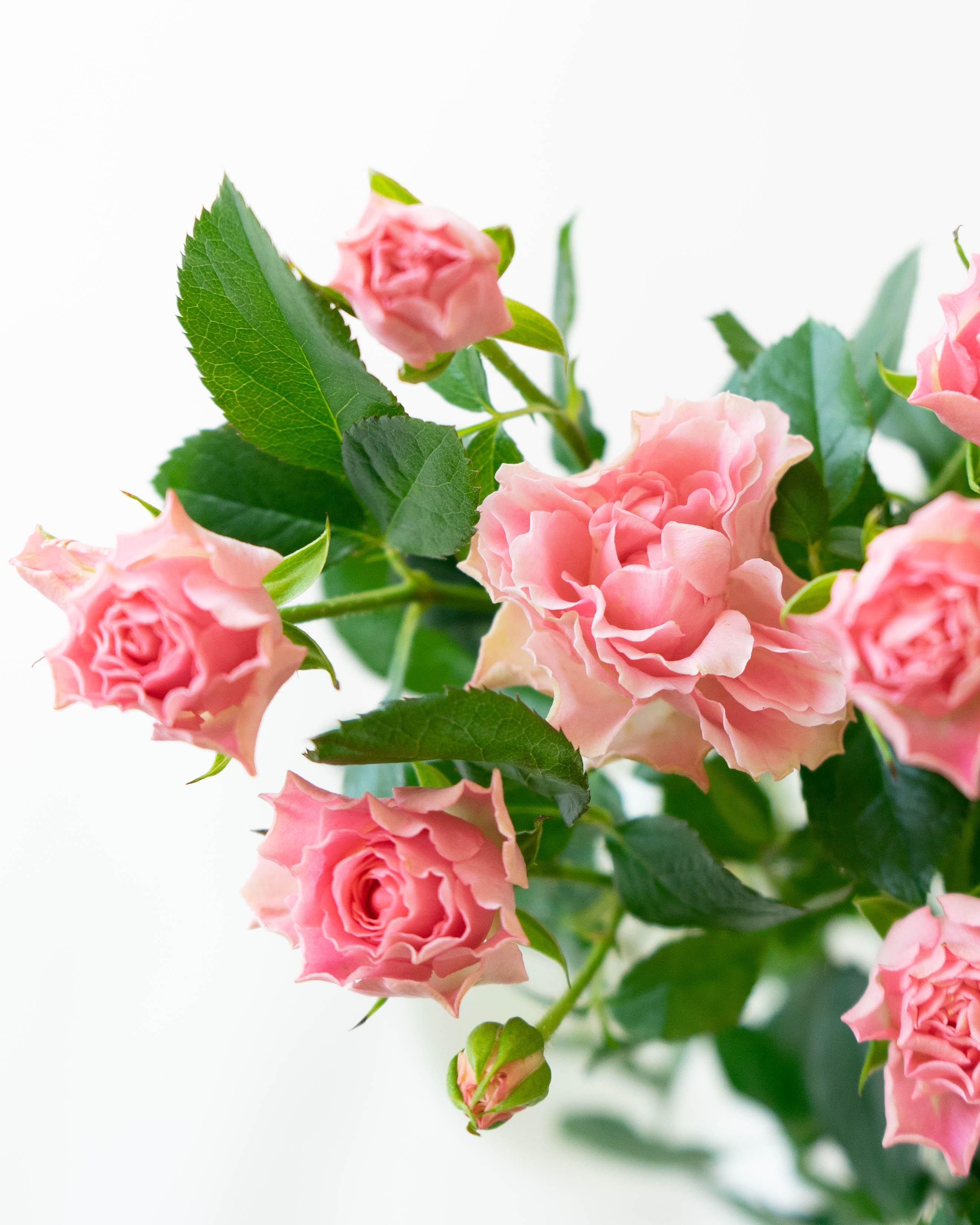 えっさん専用　薔薇のステンシルが可愛いふりふりコーナーラックローズ棚2台おまとめ えっさん専用 薔薇のステンシルが可愛いふりふりコーナーラックローズ
