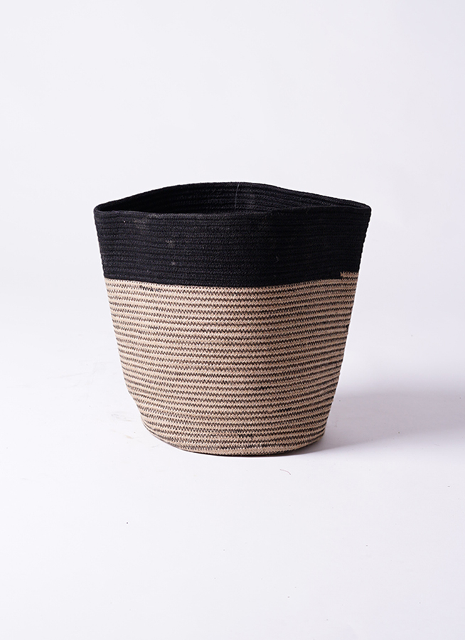 観葉植物 オリーブ 8号 創樹 リブバスケットNatural and Black 付き
