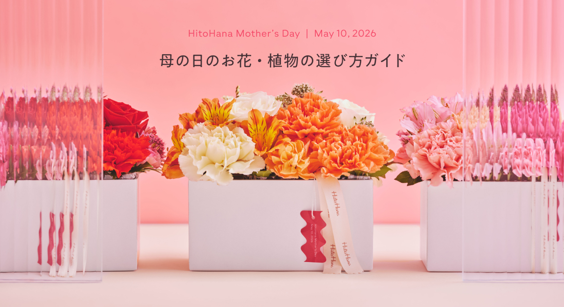 母の日 早期予約特典 | HitoHana（ひとはな）