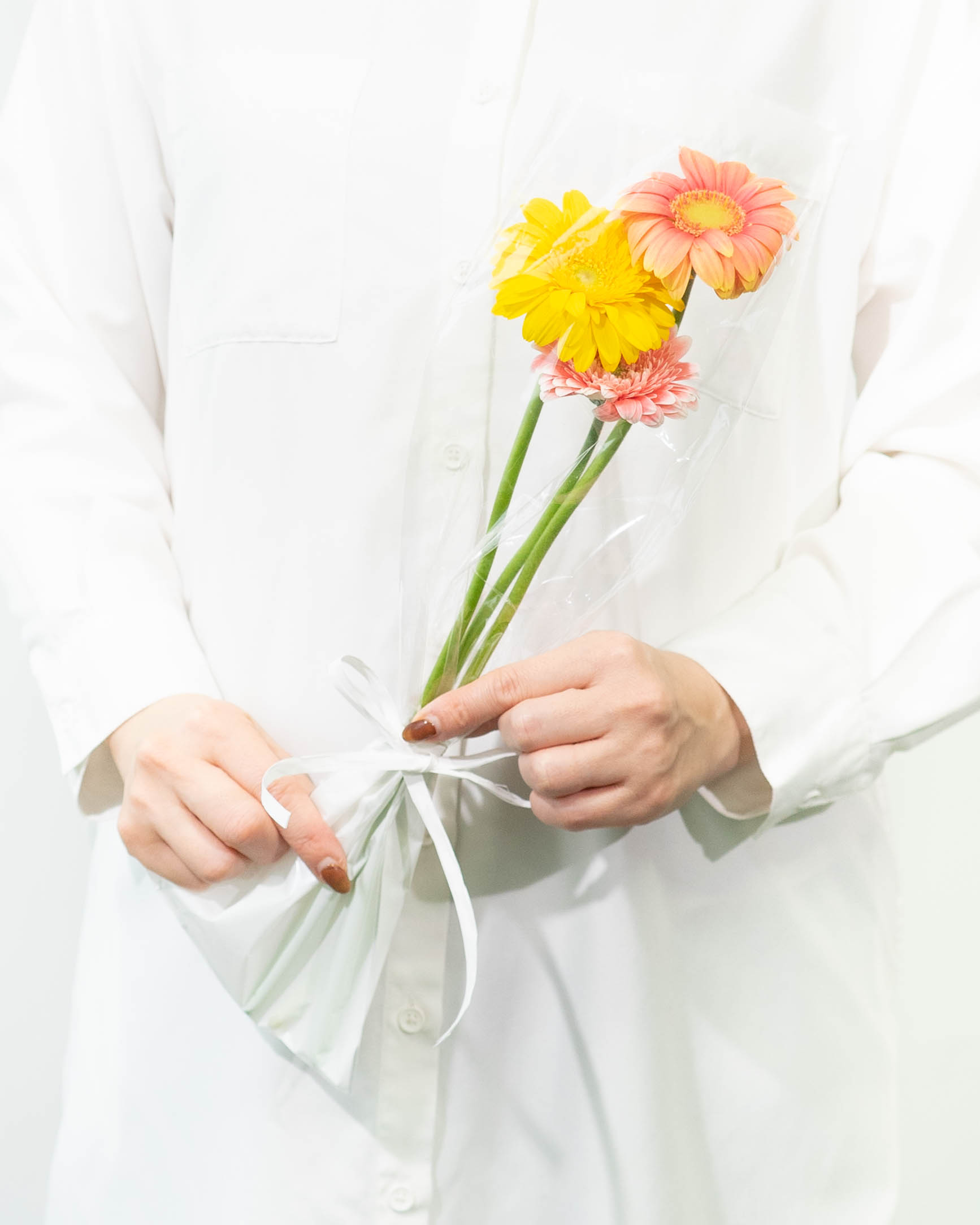 ds-matsushita-gerbera-