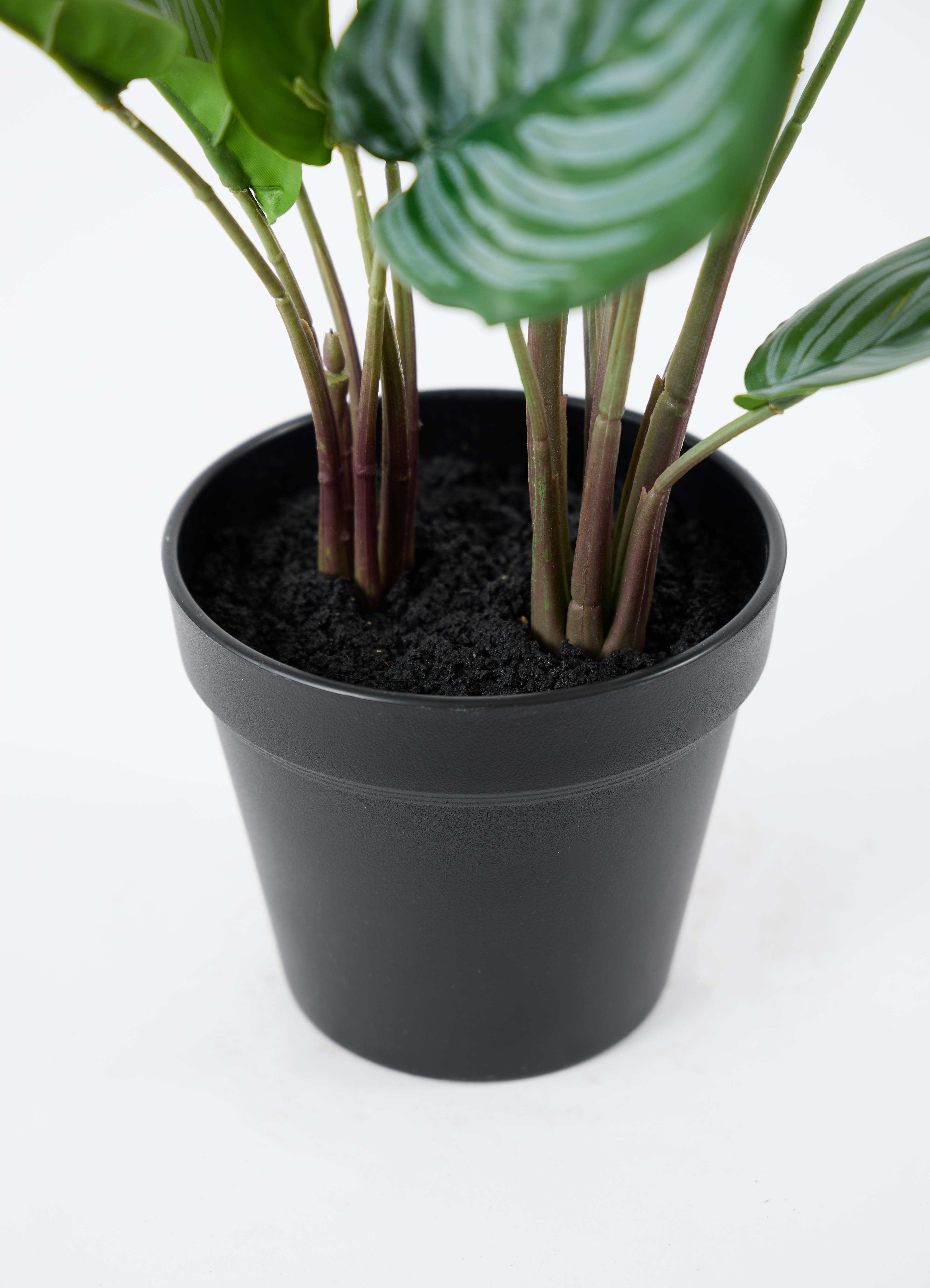 観葉植物【フェイクグリーン】カラテア 30cm オスト キューブ マット