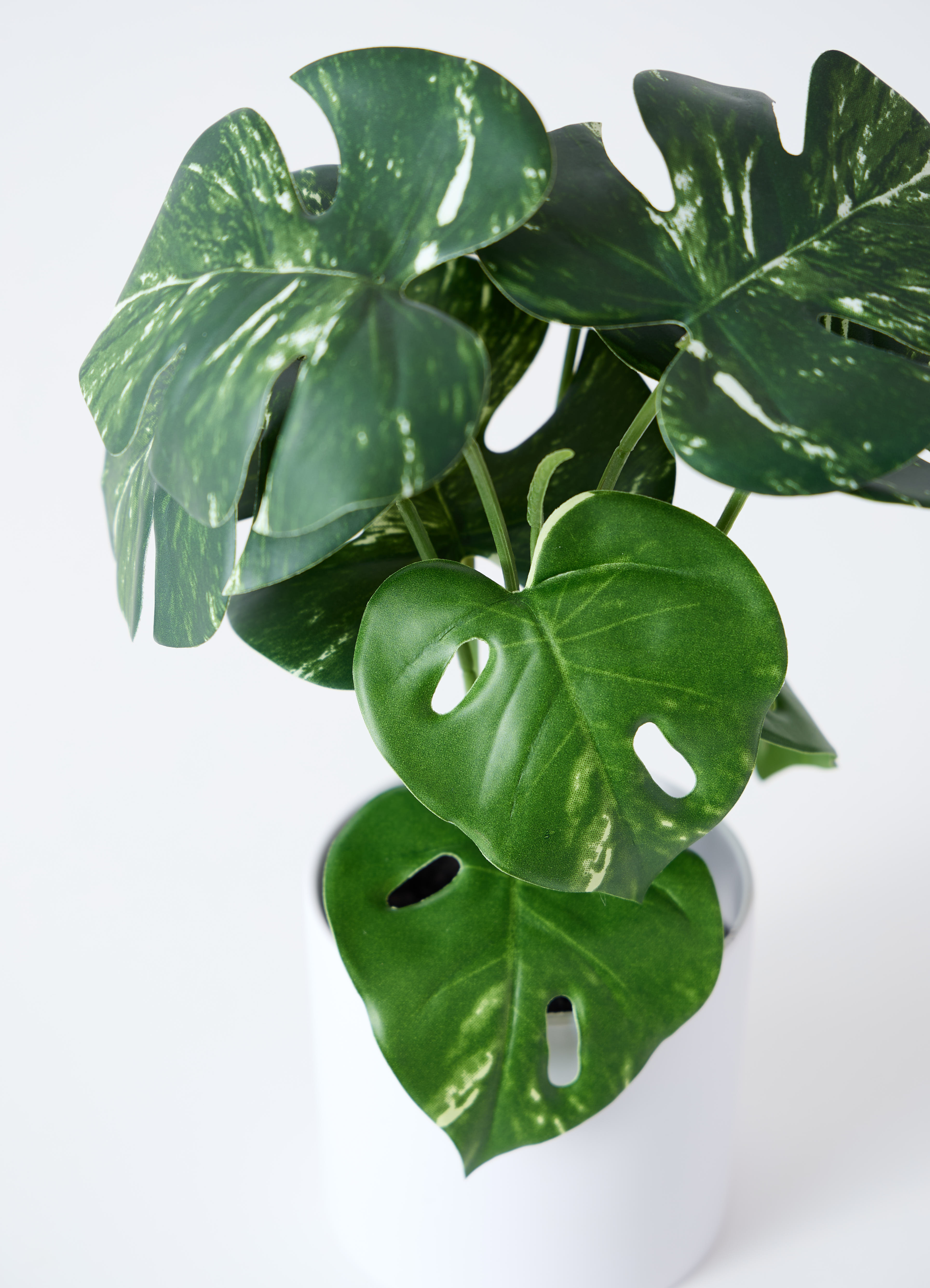 観葉植物【フェイクグリーン】モンステラ 30cm レータ 15 W &amp