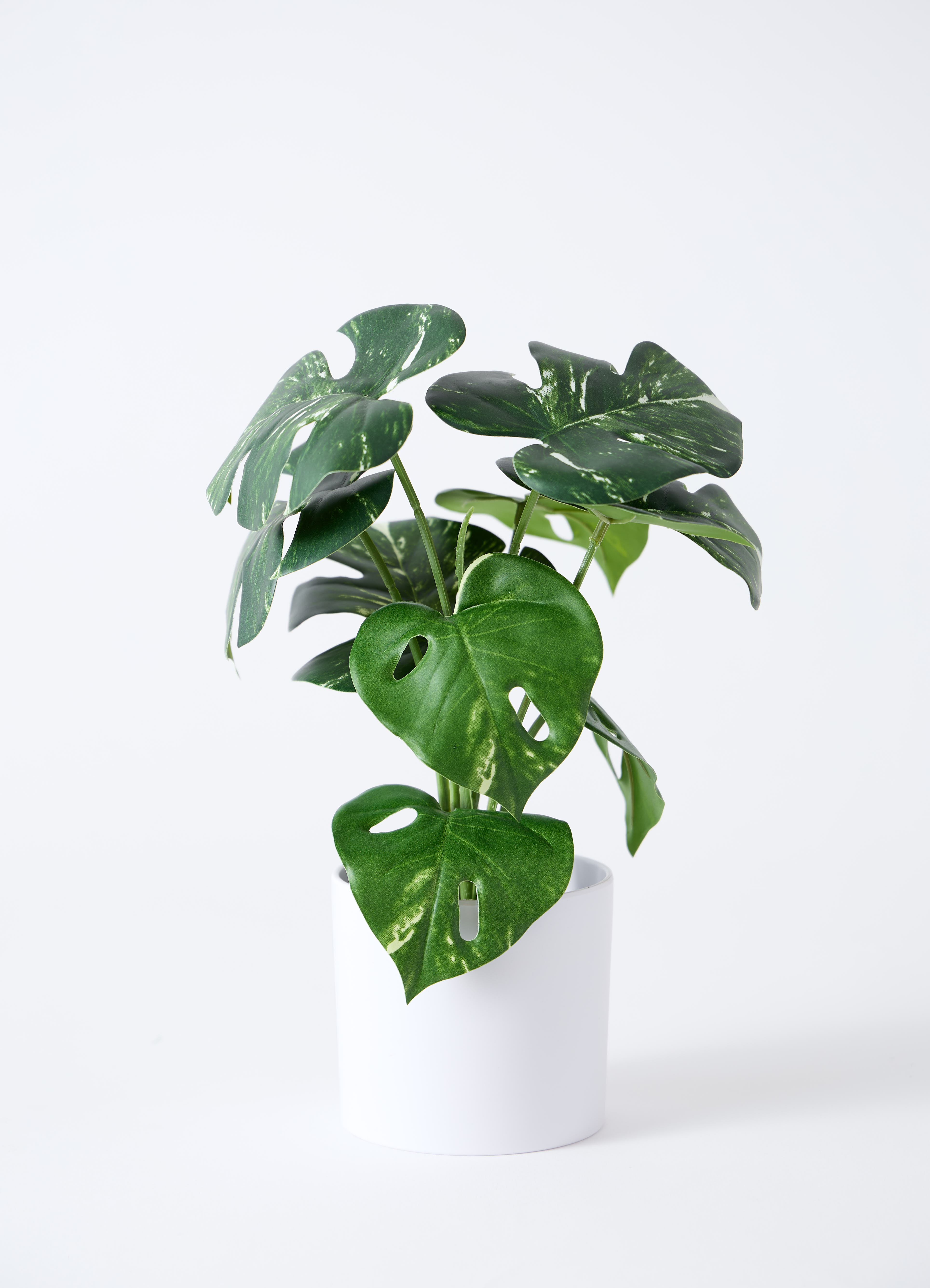 3.6万本物そっくりストレチア大物フェイクグリーンモンステラ 観葉植物【フェイクグリーン】モンステラ 30cm オウティ 12 G グリーン