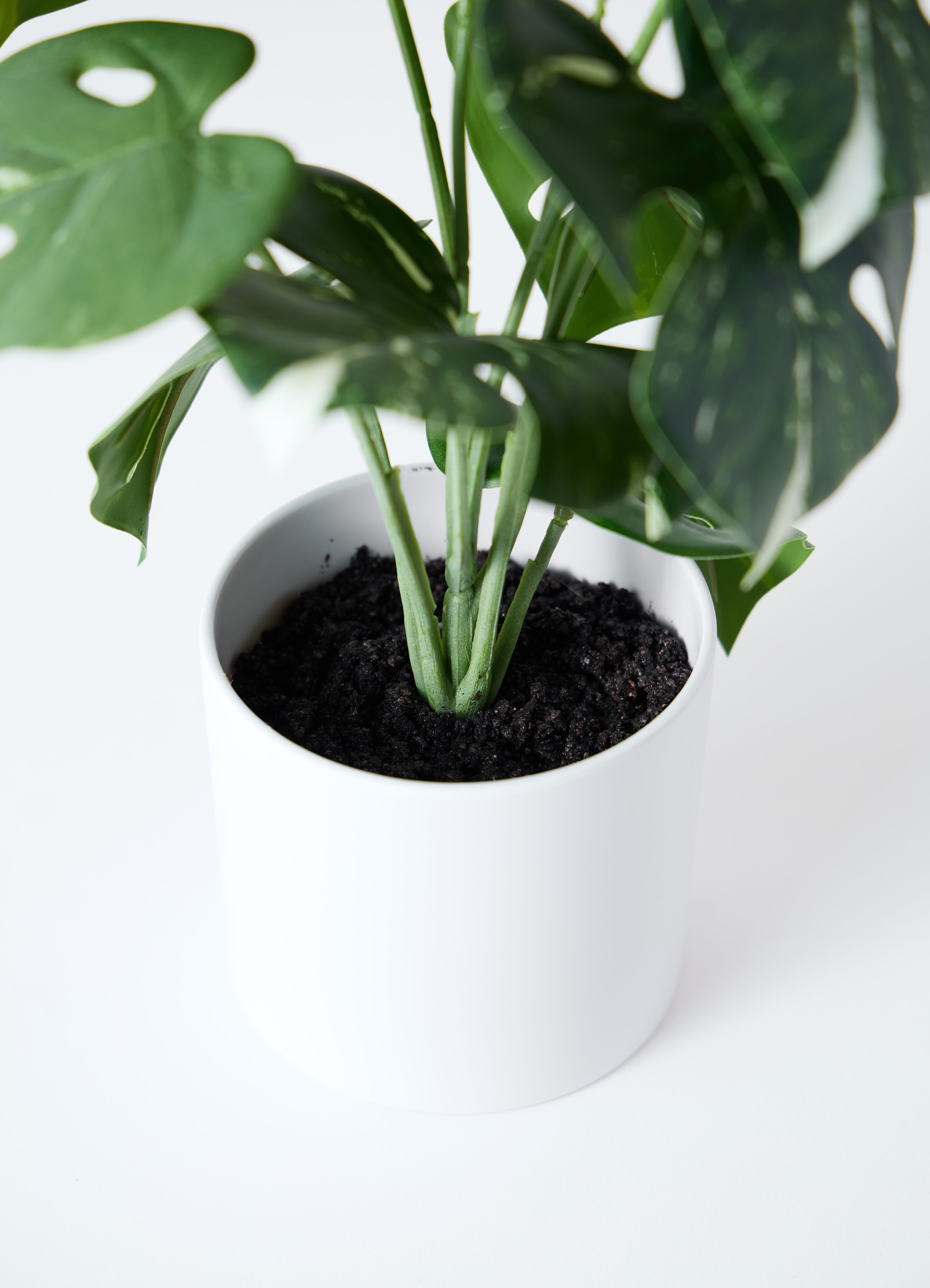 観葉植物 【フェイクグリーン】 モンステラ 20cm インナ 11 W 付き 