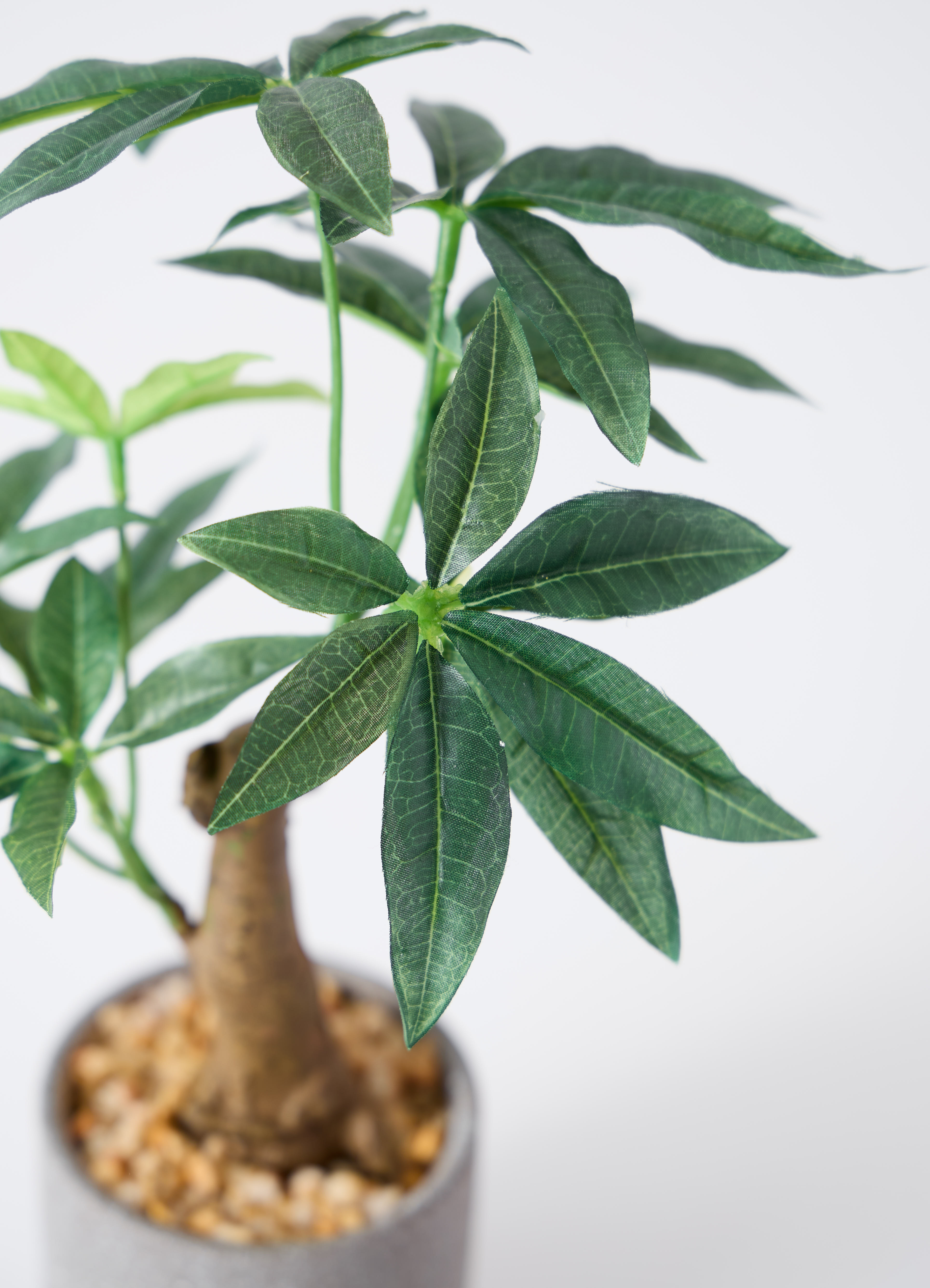 観葉植物【フェイクグリーン】パキラ 30cm インナ 11 G 付き | 観葉