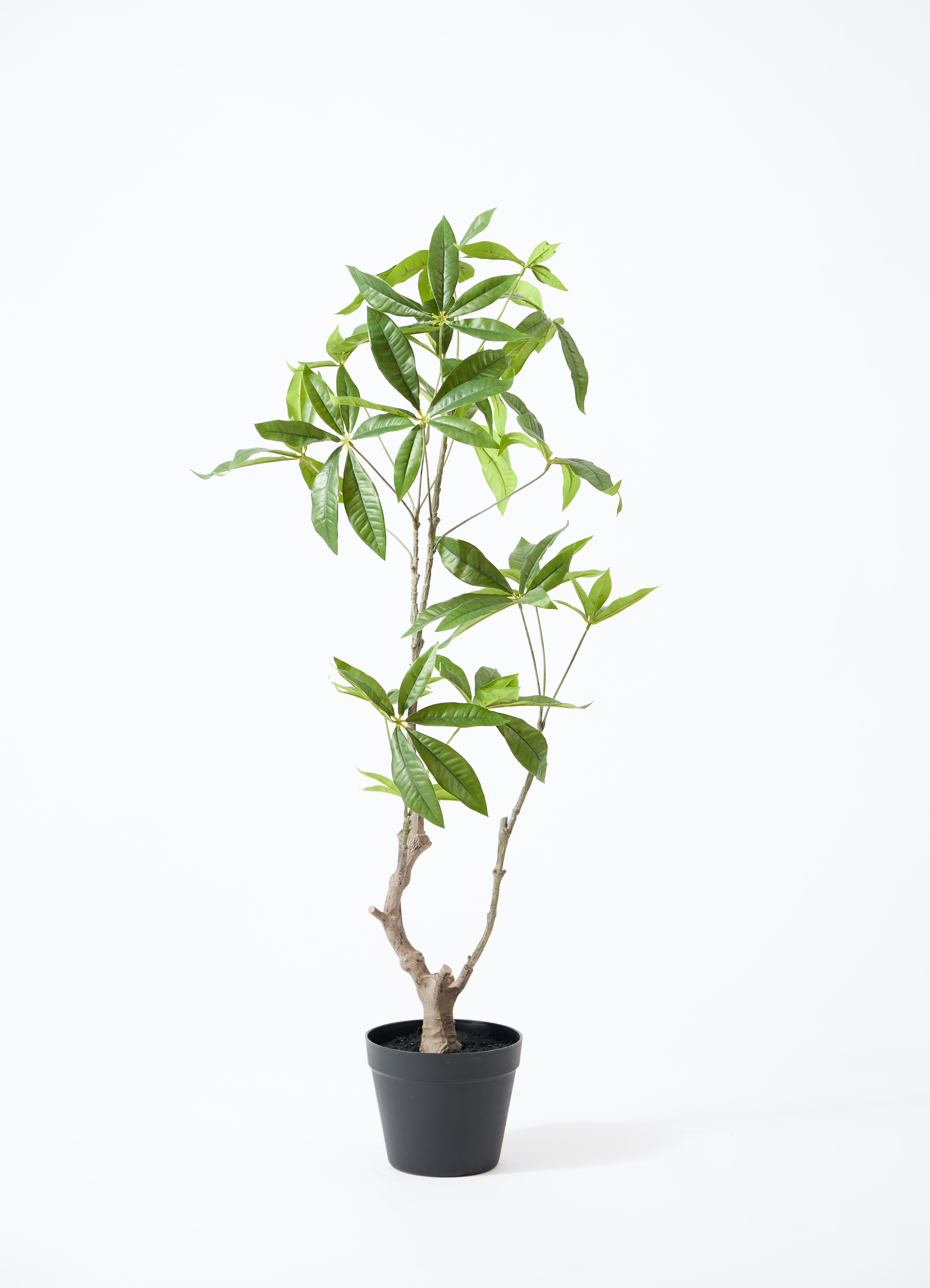 観葉植物【フェイクグリーン】パキラ 90cm ラスターポット 付き | 観葉