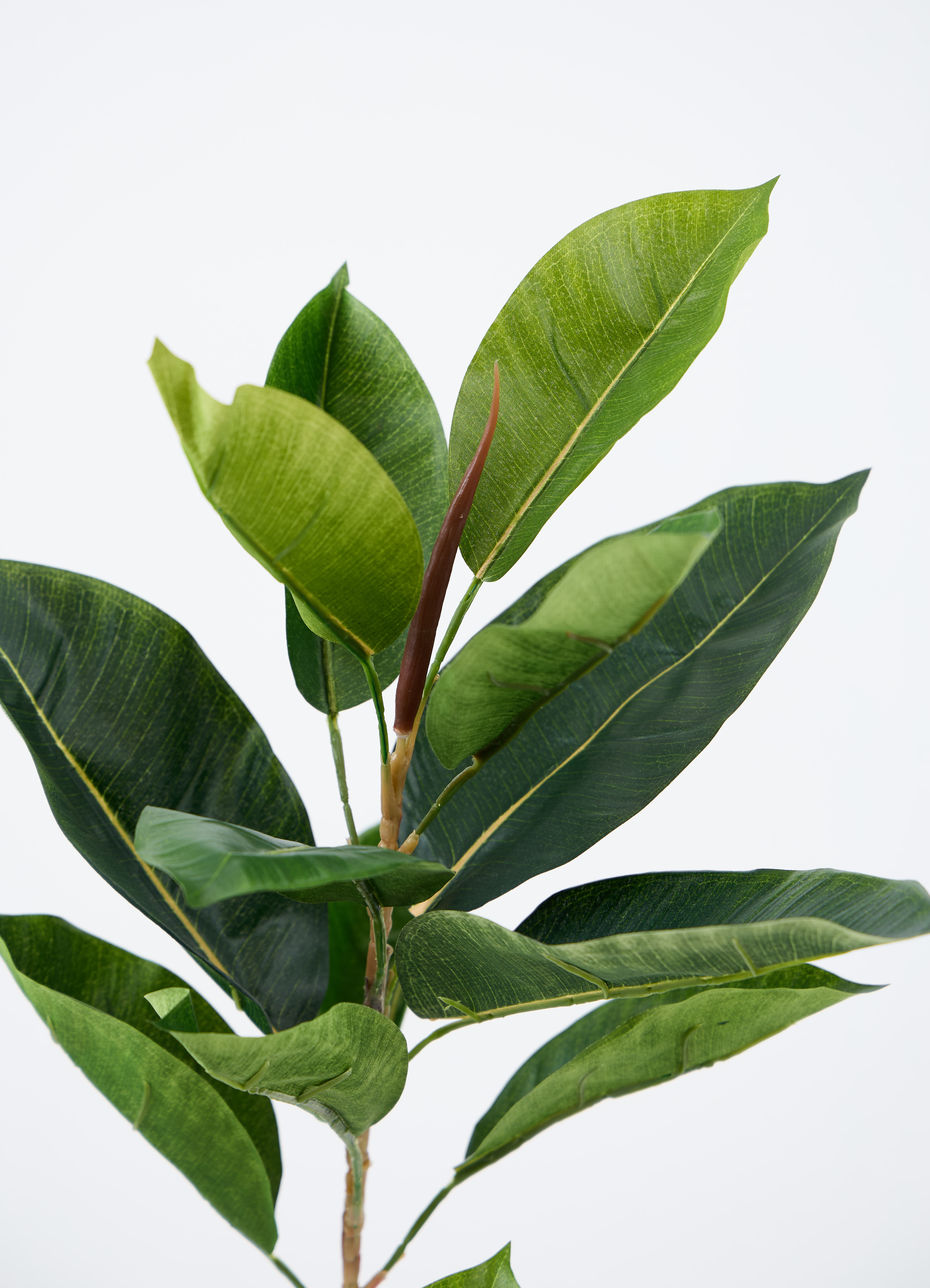観葉植物 フェイク FICUS フィカス 観葉植物【フェイクグリーン】フィカス（ゴムの木） 90cm ベースポット