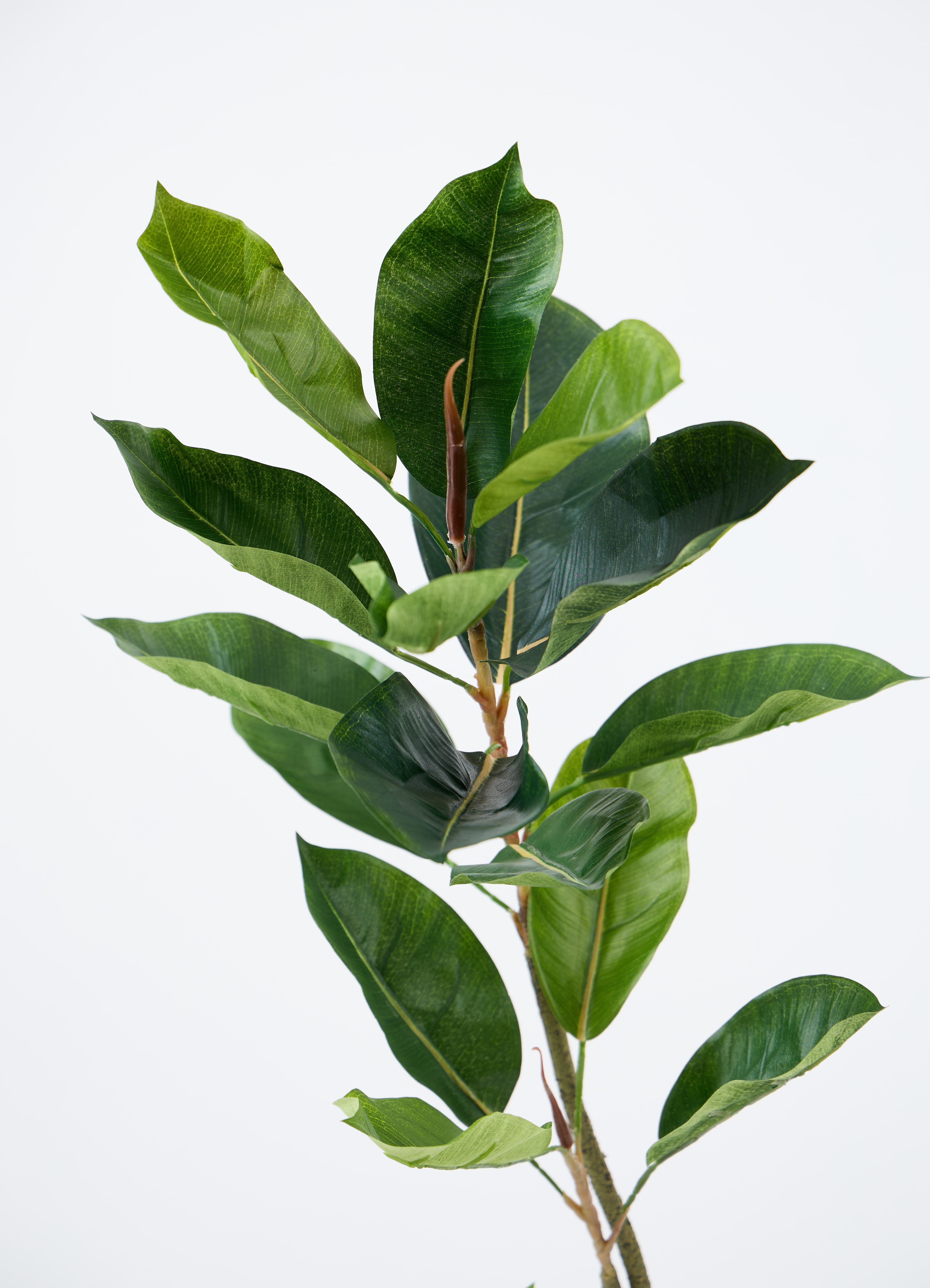 観葉植物【フェイクグリーン】フィカス（ゴムの木） 120cm ベース