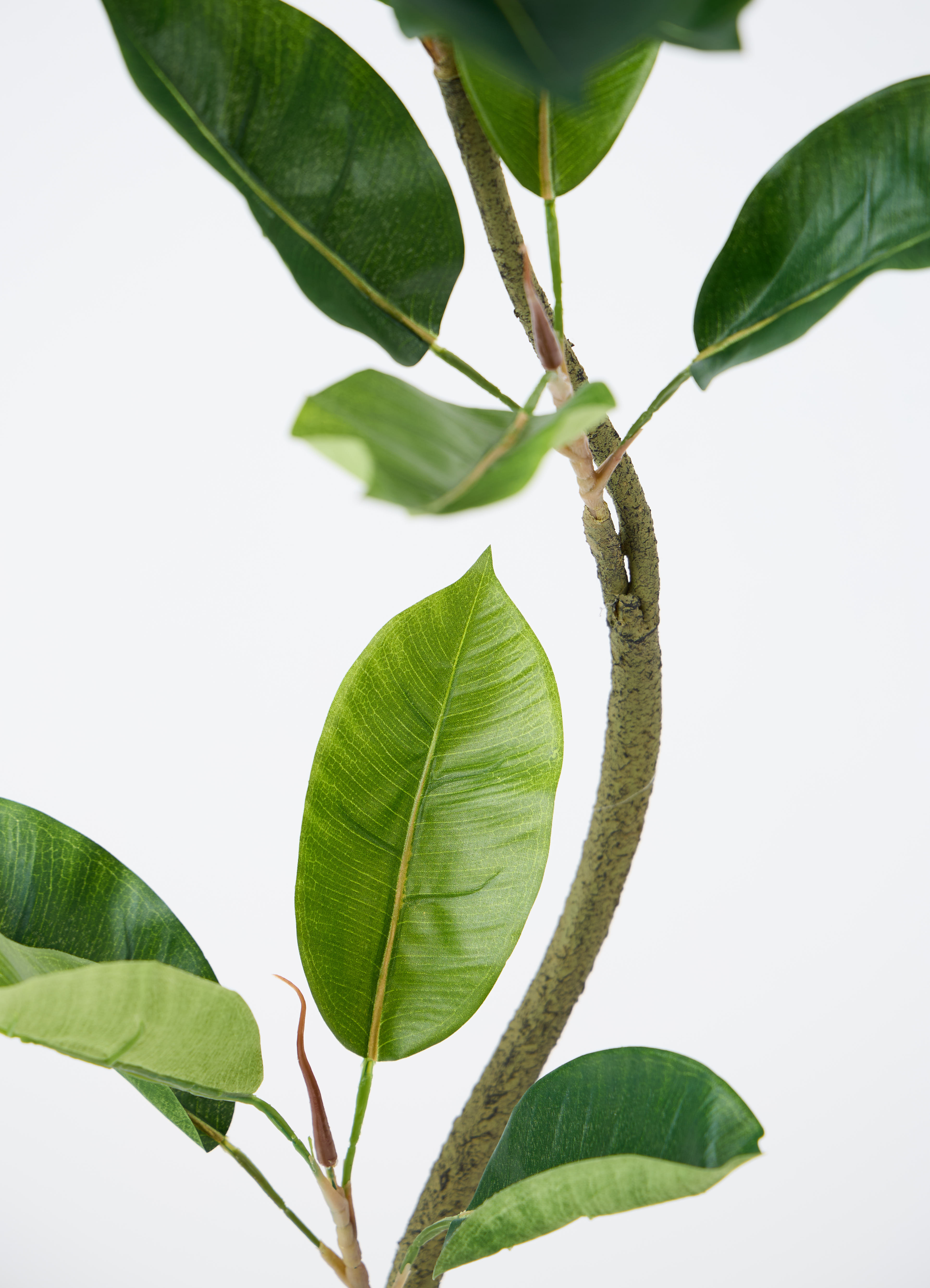 観葉植物【フェイクグリーン】フィカス（ゴムの木） 120cm ベース
