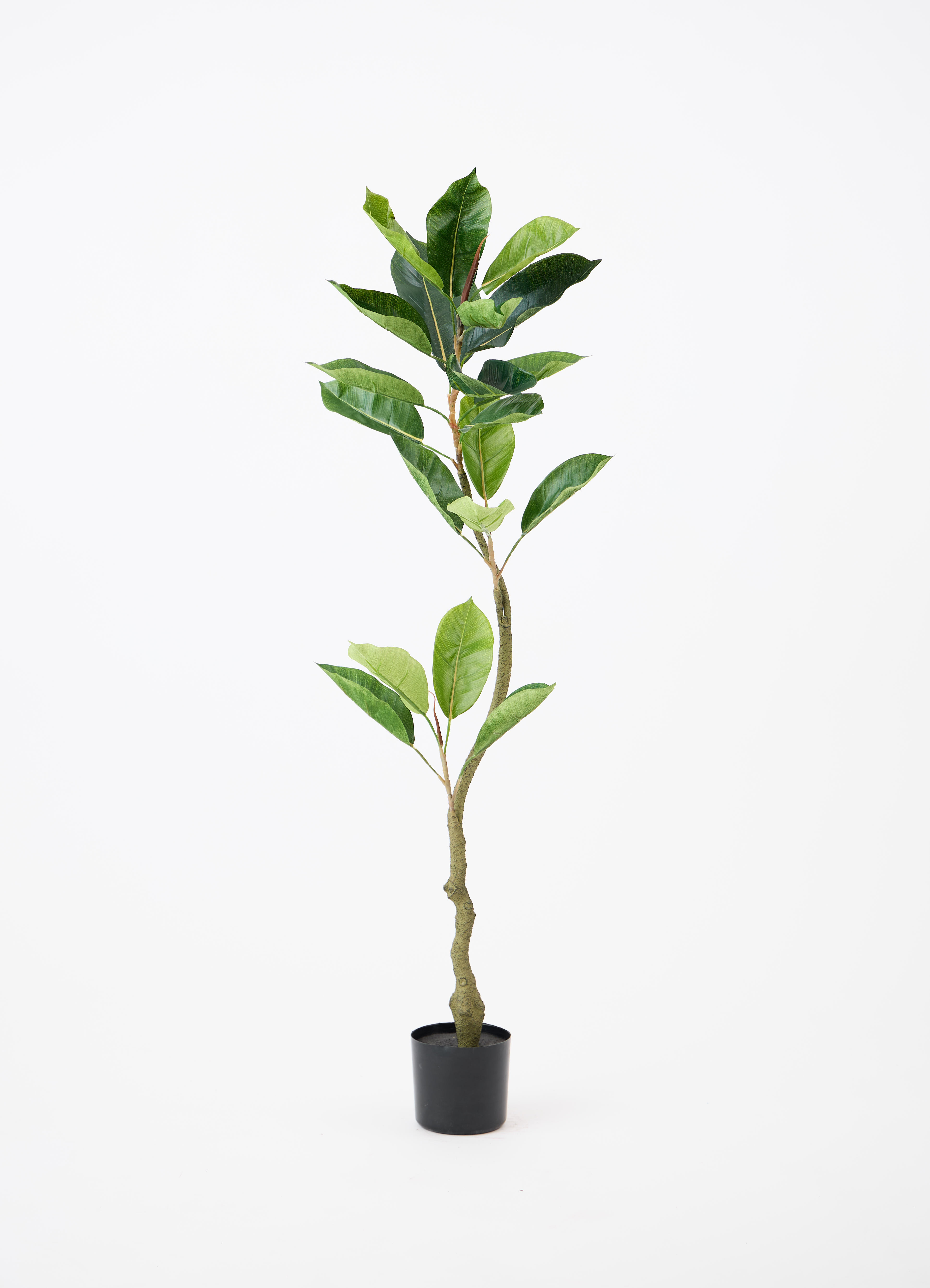観葉植物 フェイク FICUS フィカス 観葉植物【フェイクグリーン】フィカス（ゴムの木） 120cm ベース